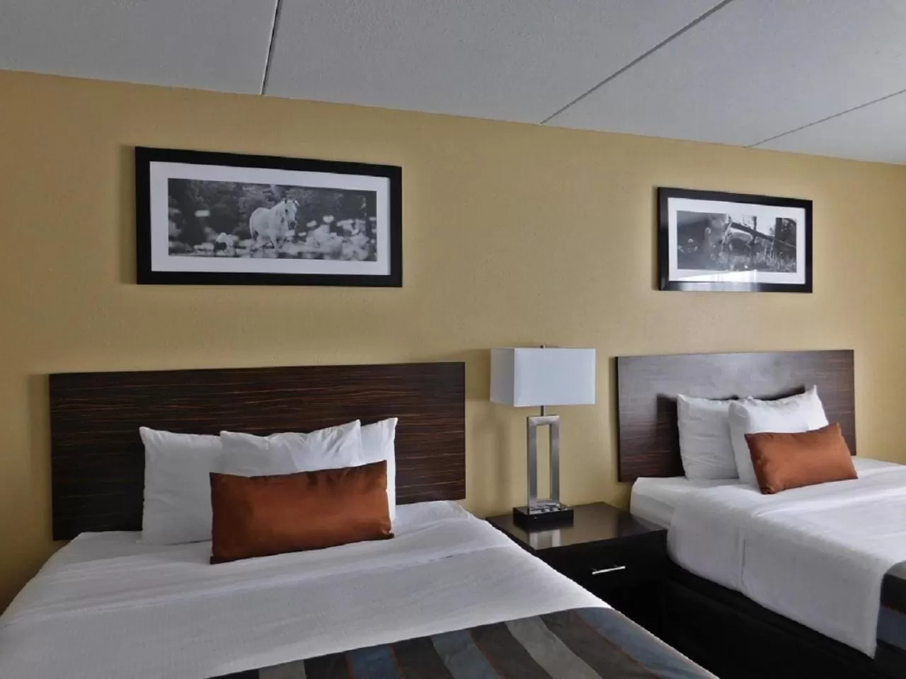 Bed in Wingate by Wyndham Bowling Green