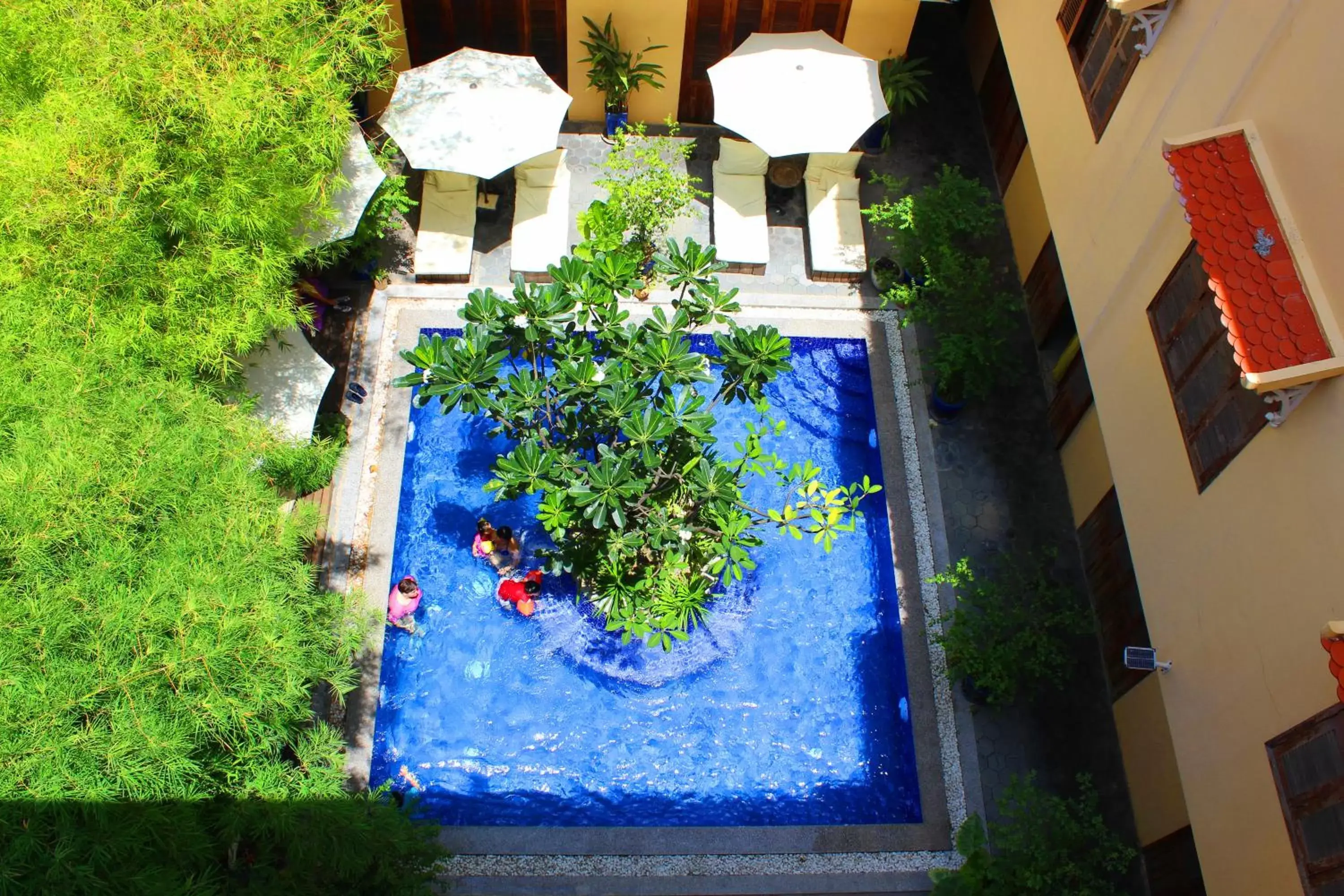 Swimming pool, Pool View in House Boutique Eco Hotel