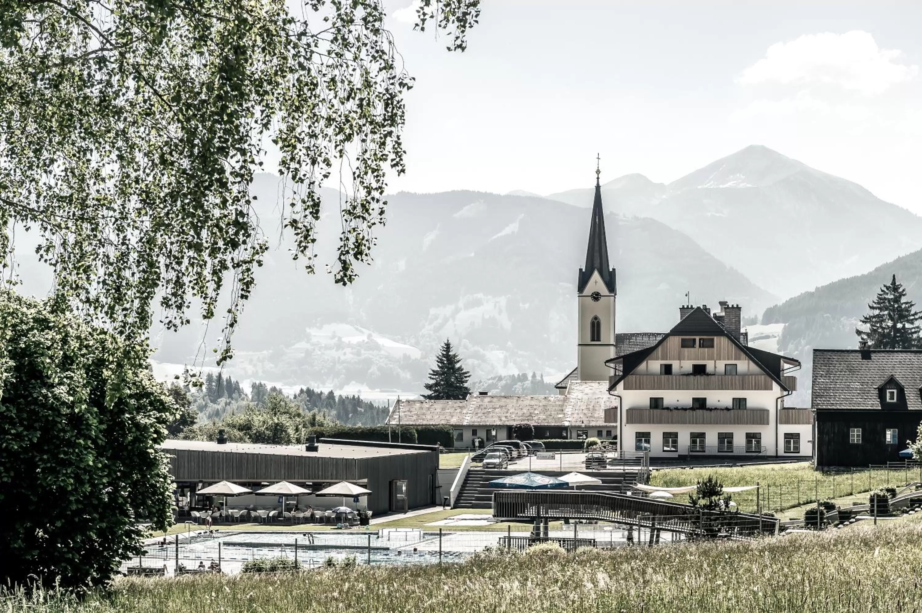 Natural landscape in Hotel Loy