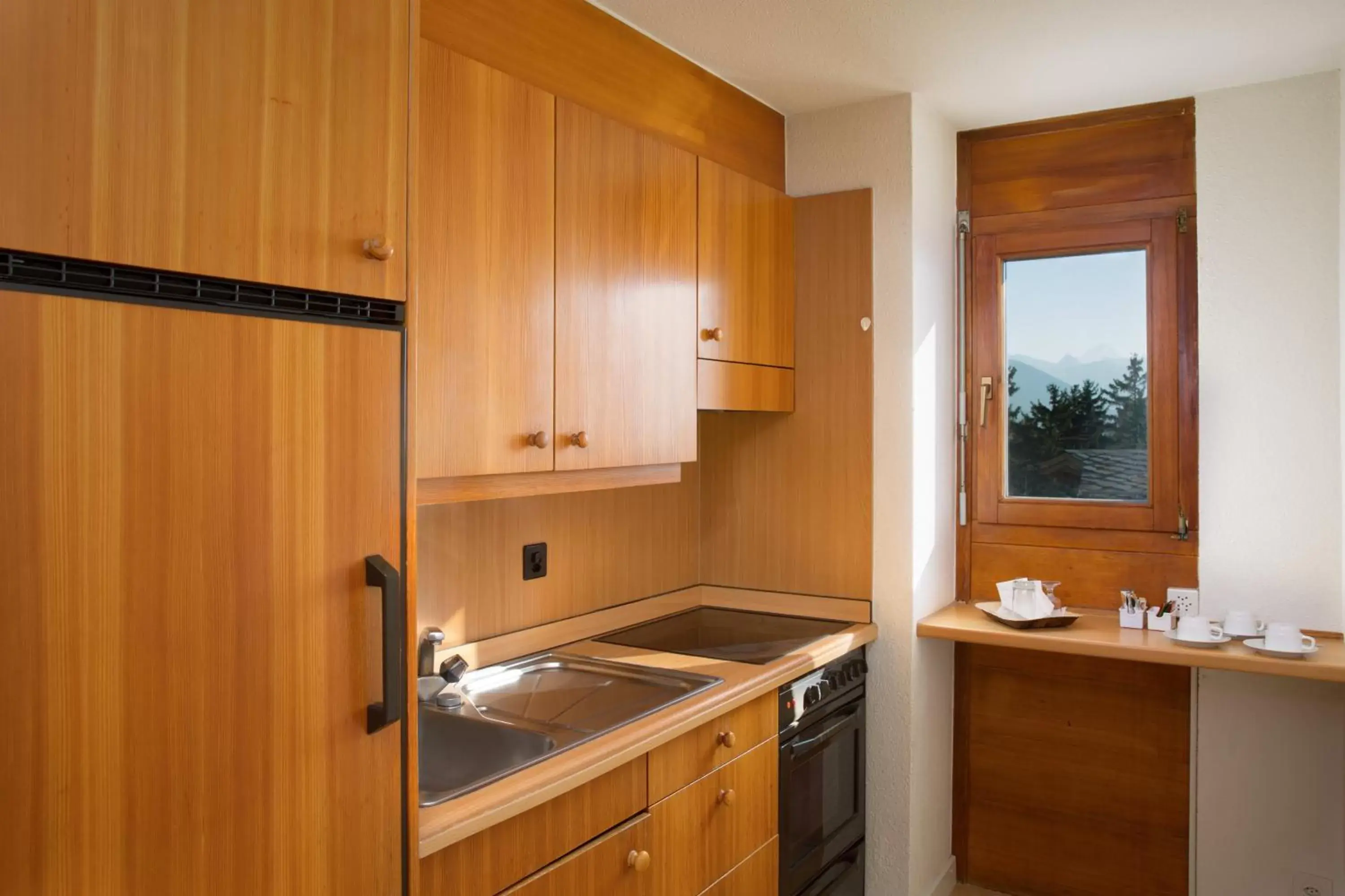 Kitchen or kitchenette, Kitchen/Kitchenette in Aparthotel Helvetia