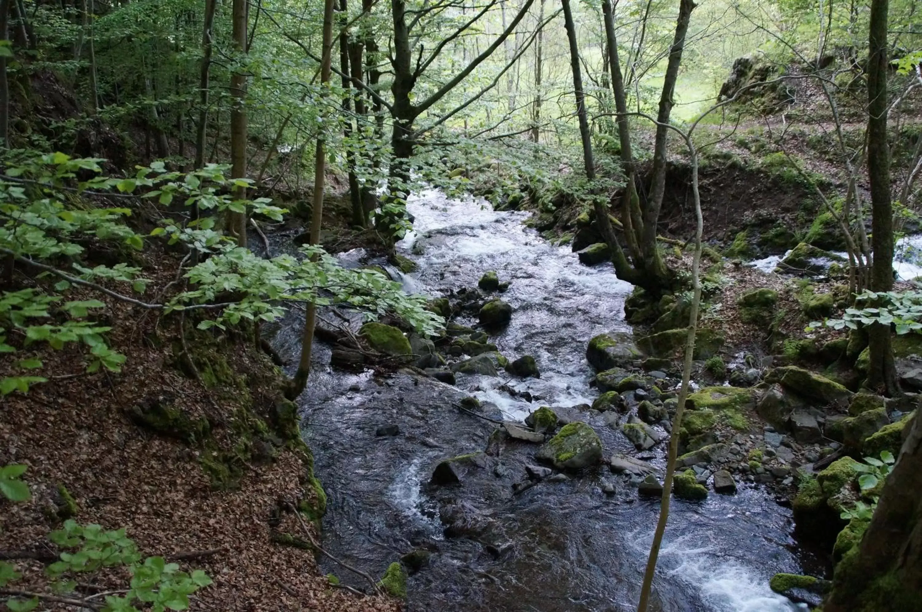 Natural Landscape in The Originals Access Aéroport, Hôtel Aurillac