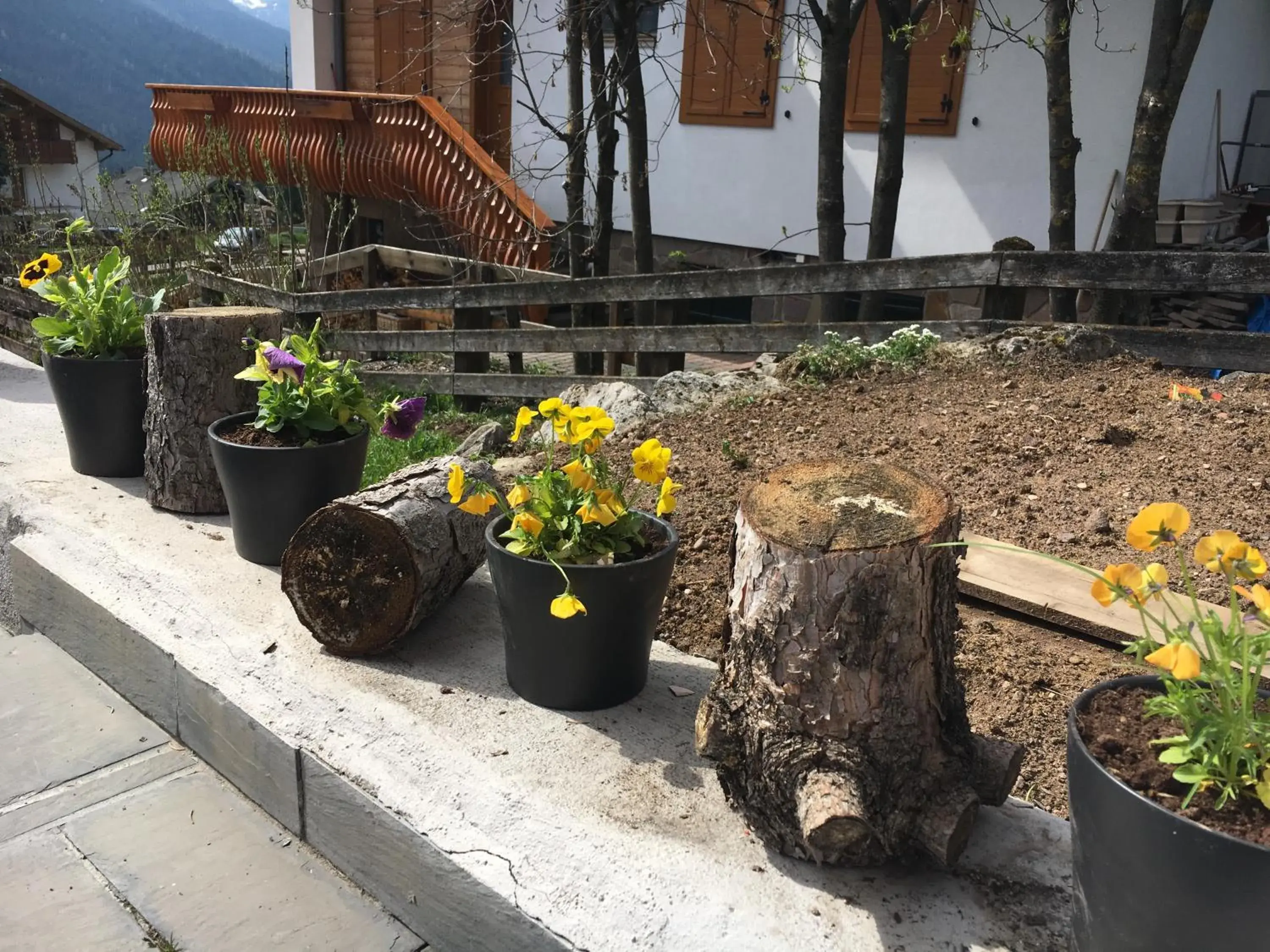 Decorative detail, Patio/Outdoor Area in Garni Enrosadira