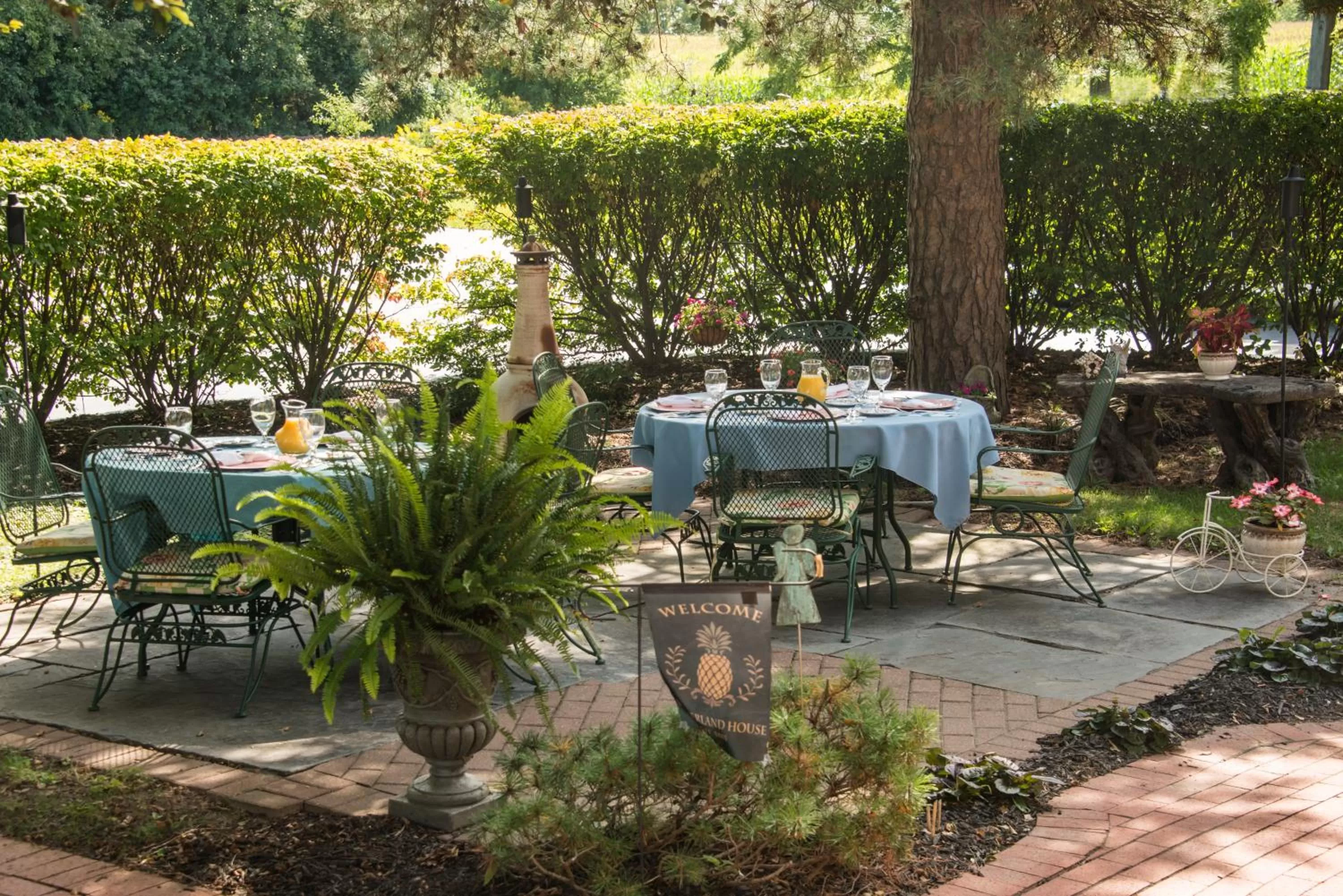Garden view in Sutherland House Victorian Bed and Breakfast