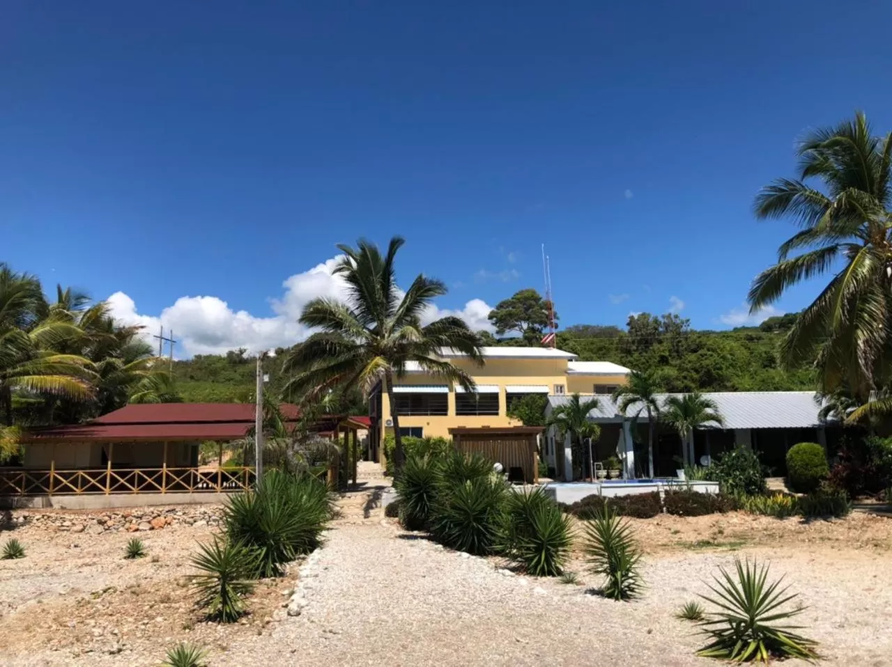 Restaurant/places to eat in Hotel Al Mare