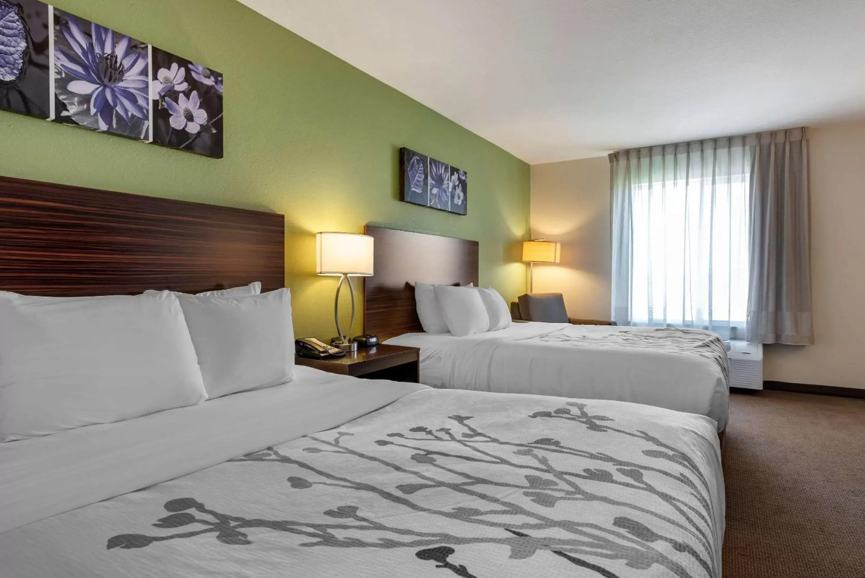Bedroom, Bed in Sleep Inn & Suites Oakley I-70