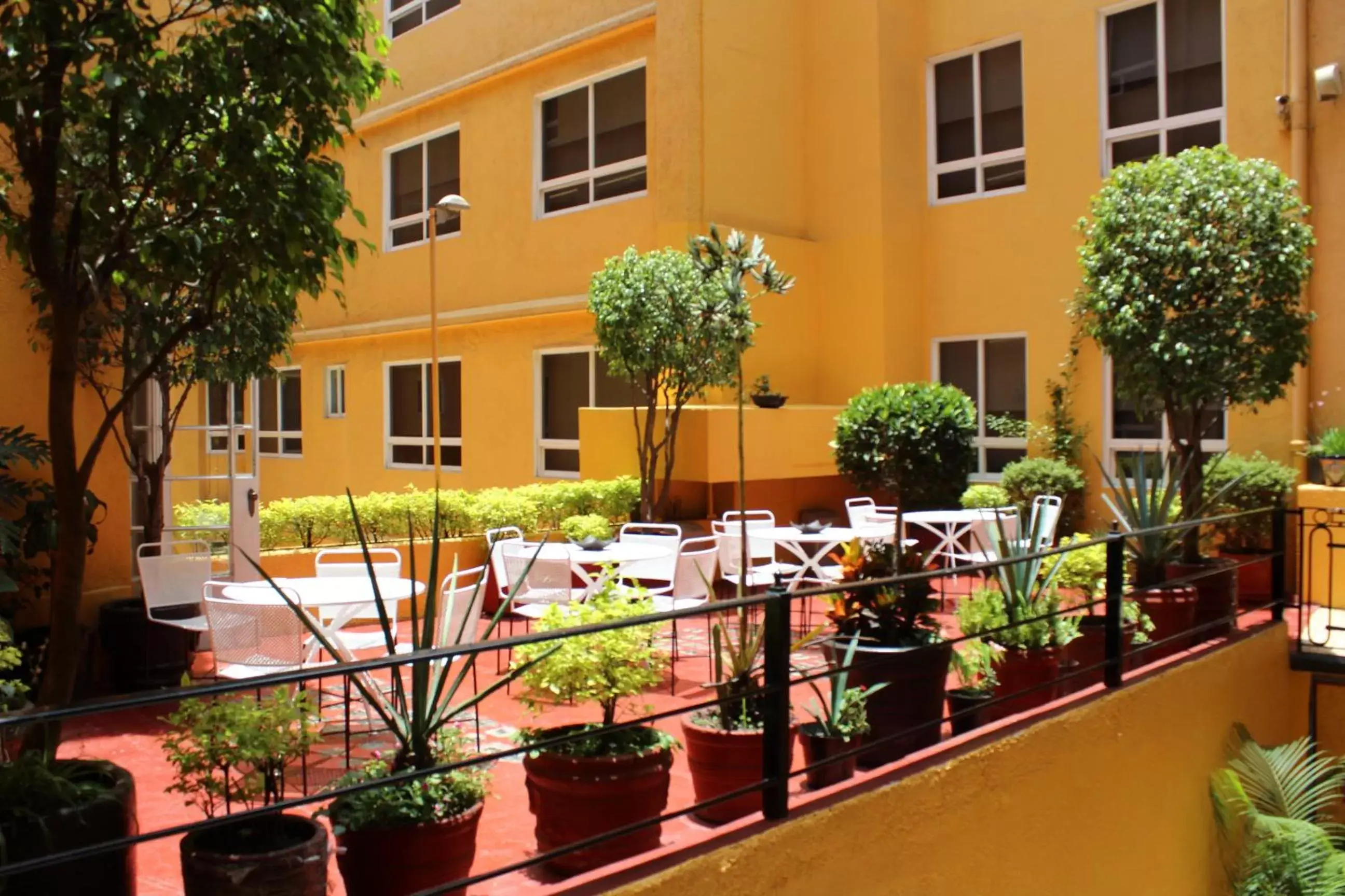 Balcony/Terrace in Hotel Ritz Ciudad de México