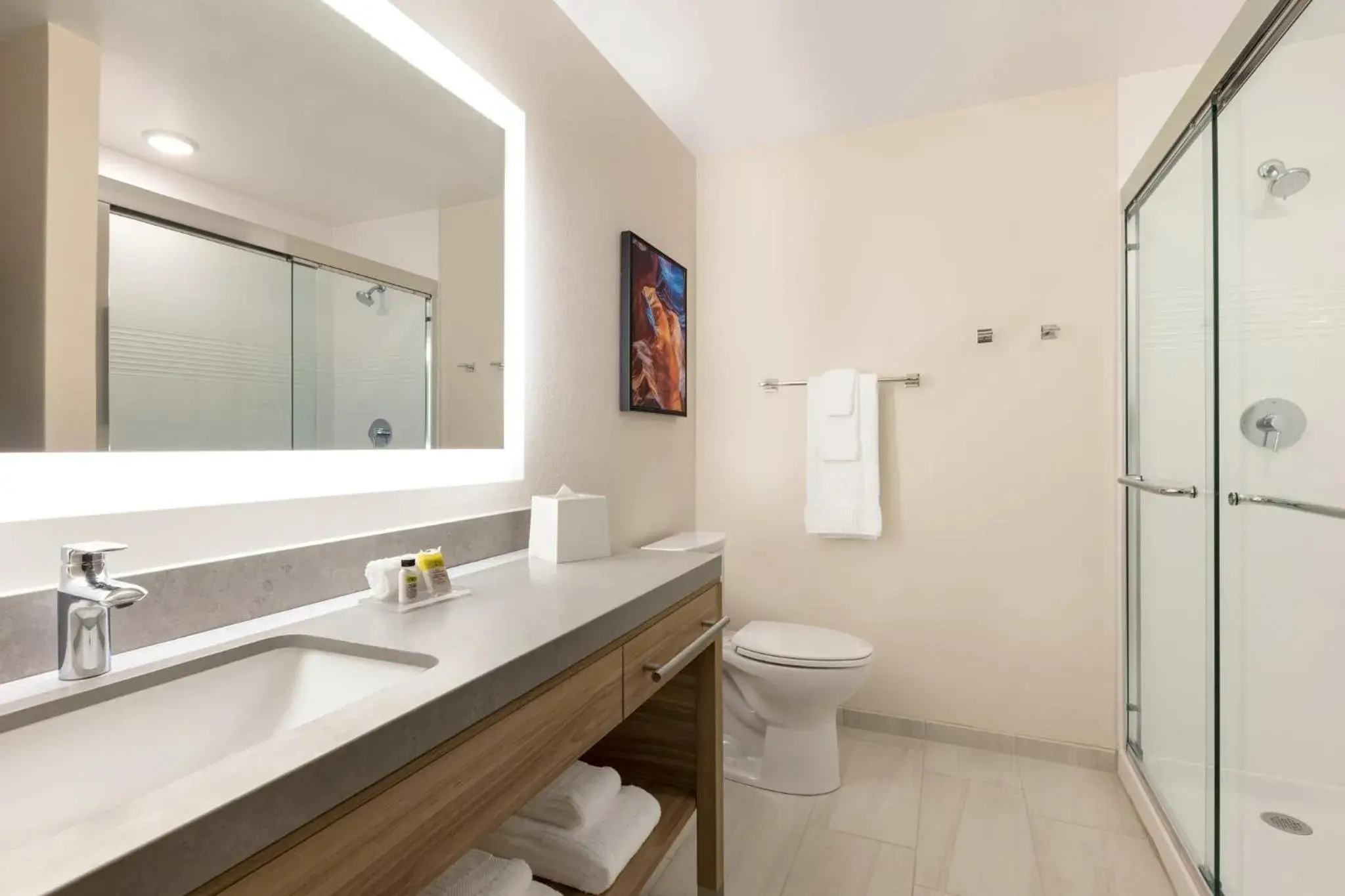 Bathroom in Candlewood Suites BESSEMER – BIRMINGHAM SW