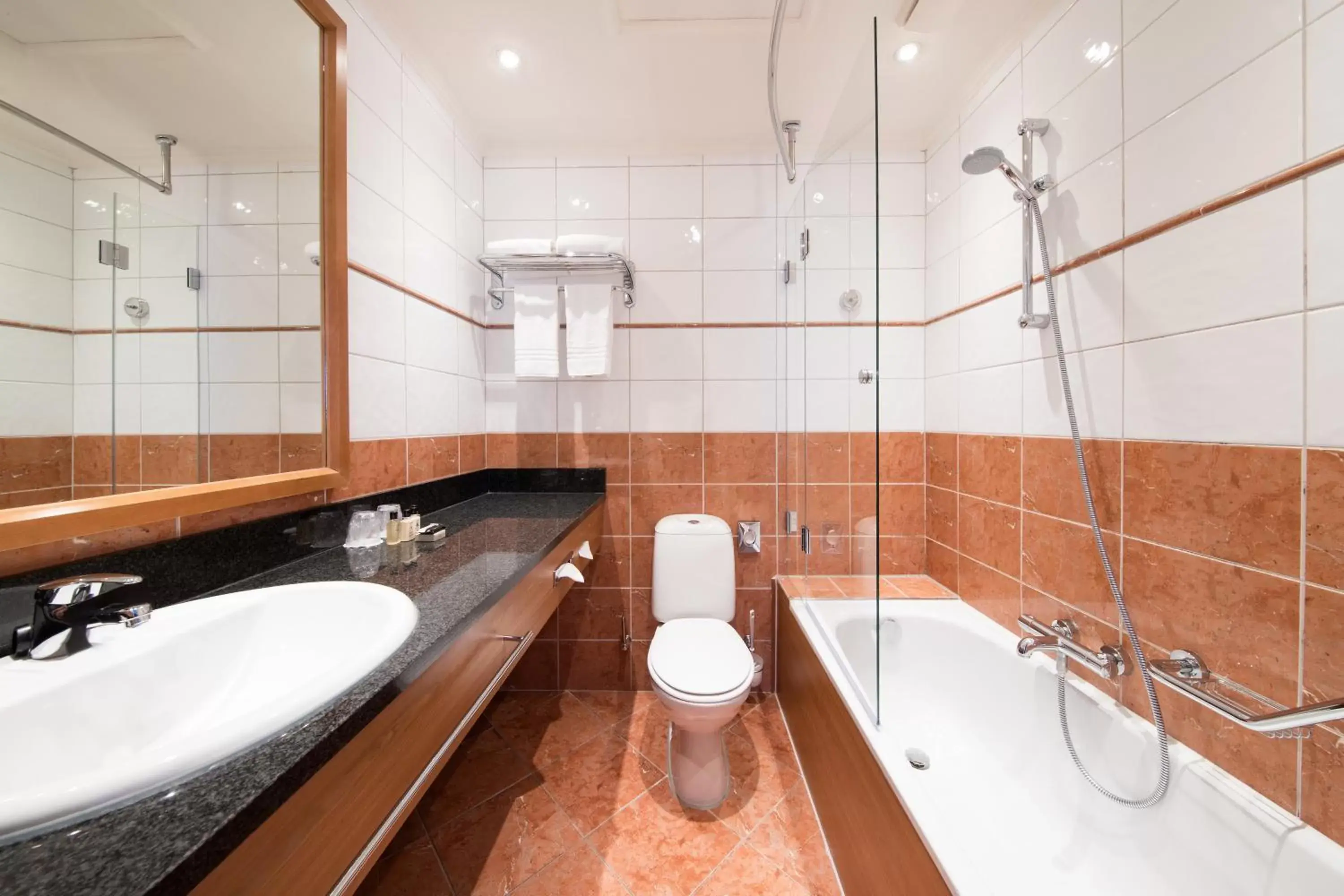 Bathroom in Bilderberg Grand Hotel Wientjes