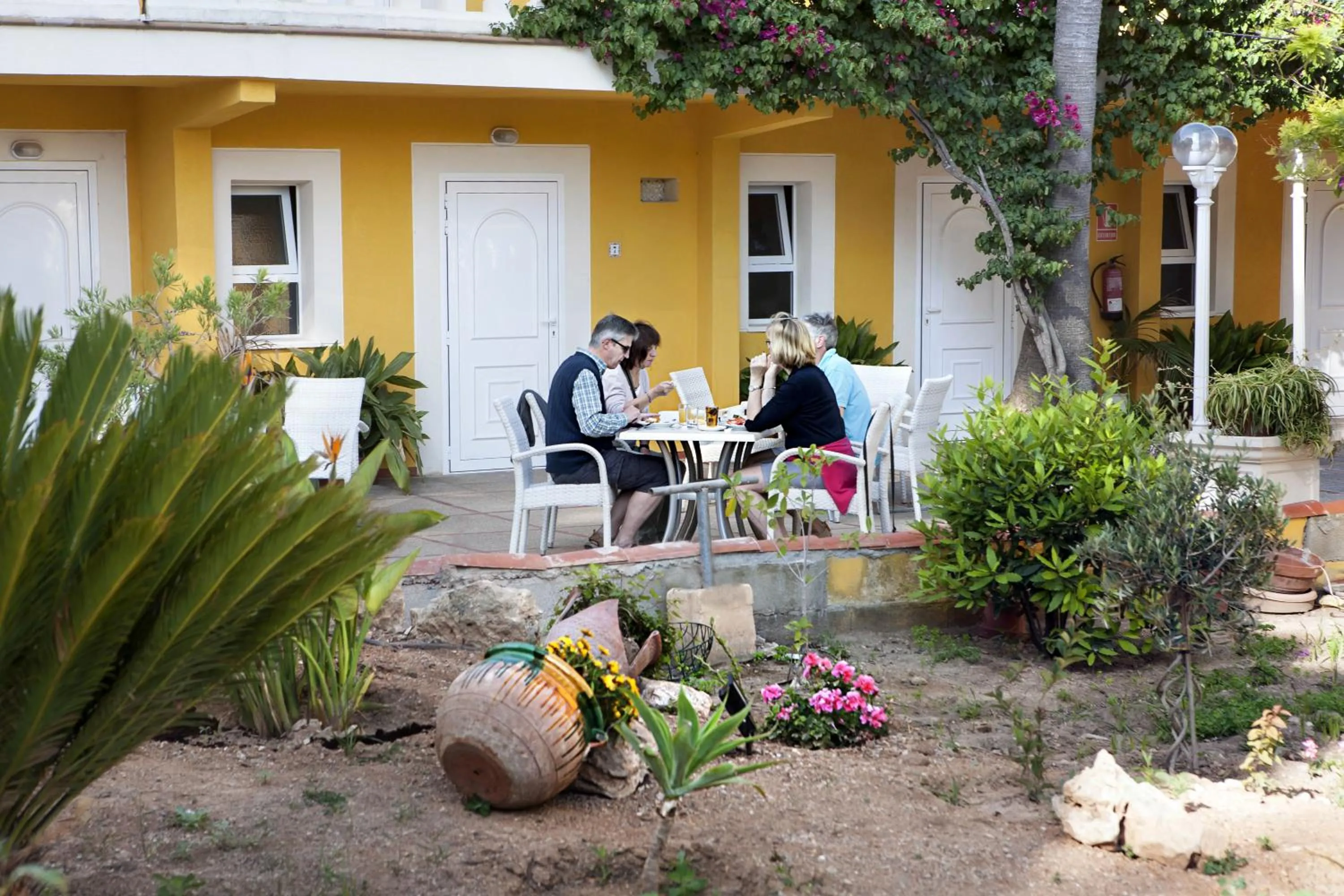 Garden in Hotel Cupidor