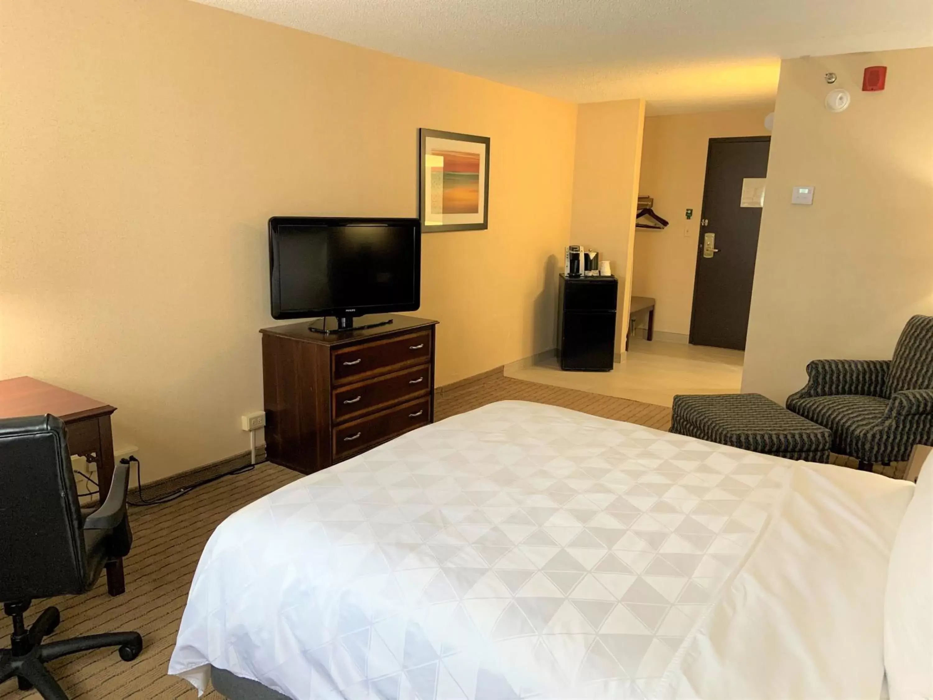 Photo of the whole room, Bed in Holiday Inn & Suites Chicago-Carol Stream Wheaton, an IHG Hotel