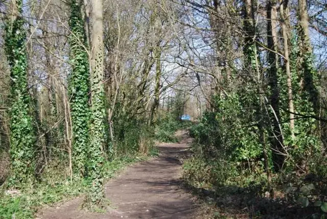 Natural landscape in 118 Shepherds Lane
