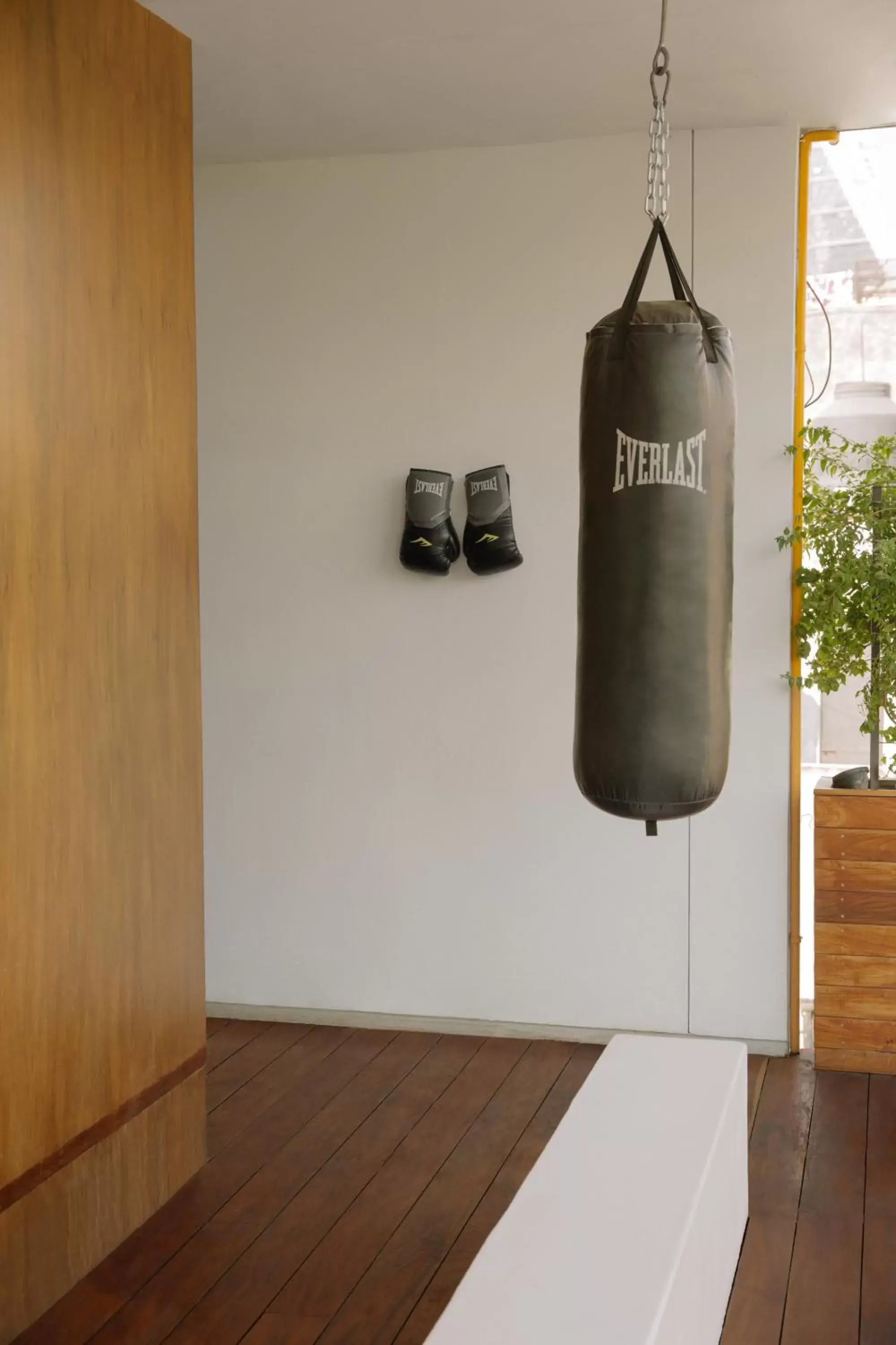 Fitness centre/facilities in Condesa df, Mexico City, a Member of Design Hotels