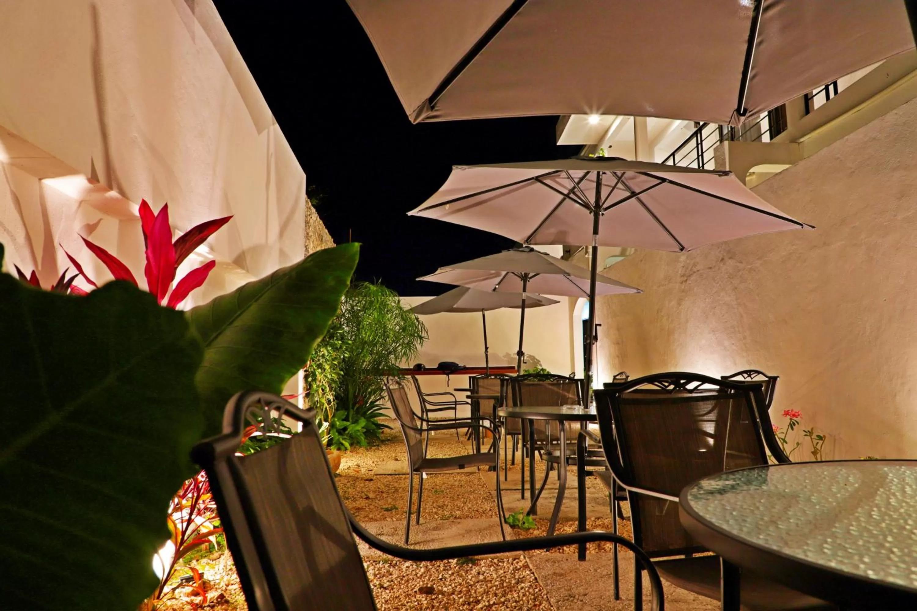 Garden in Margarett Hotel