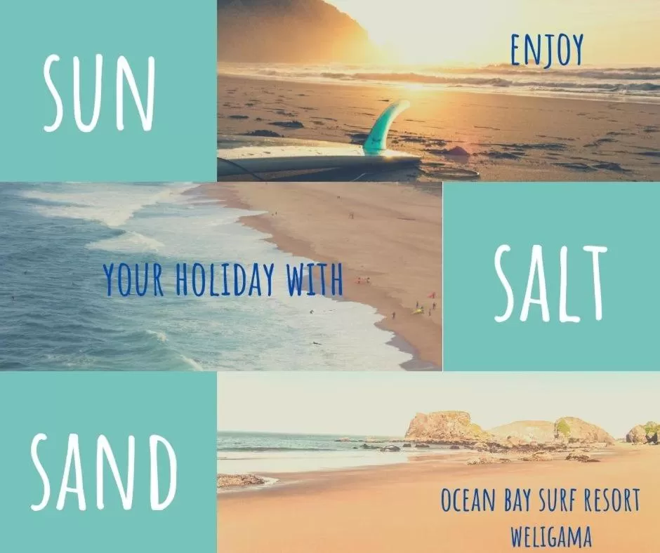 Logo/Certificate/Sign/Award in Ocean Bay Surf Resort Weligama