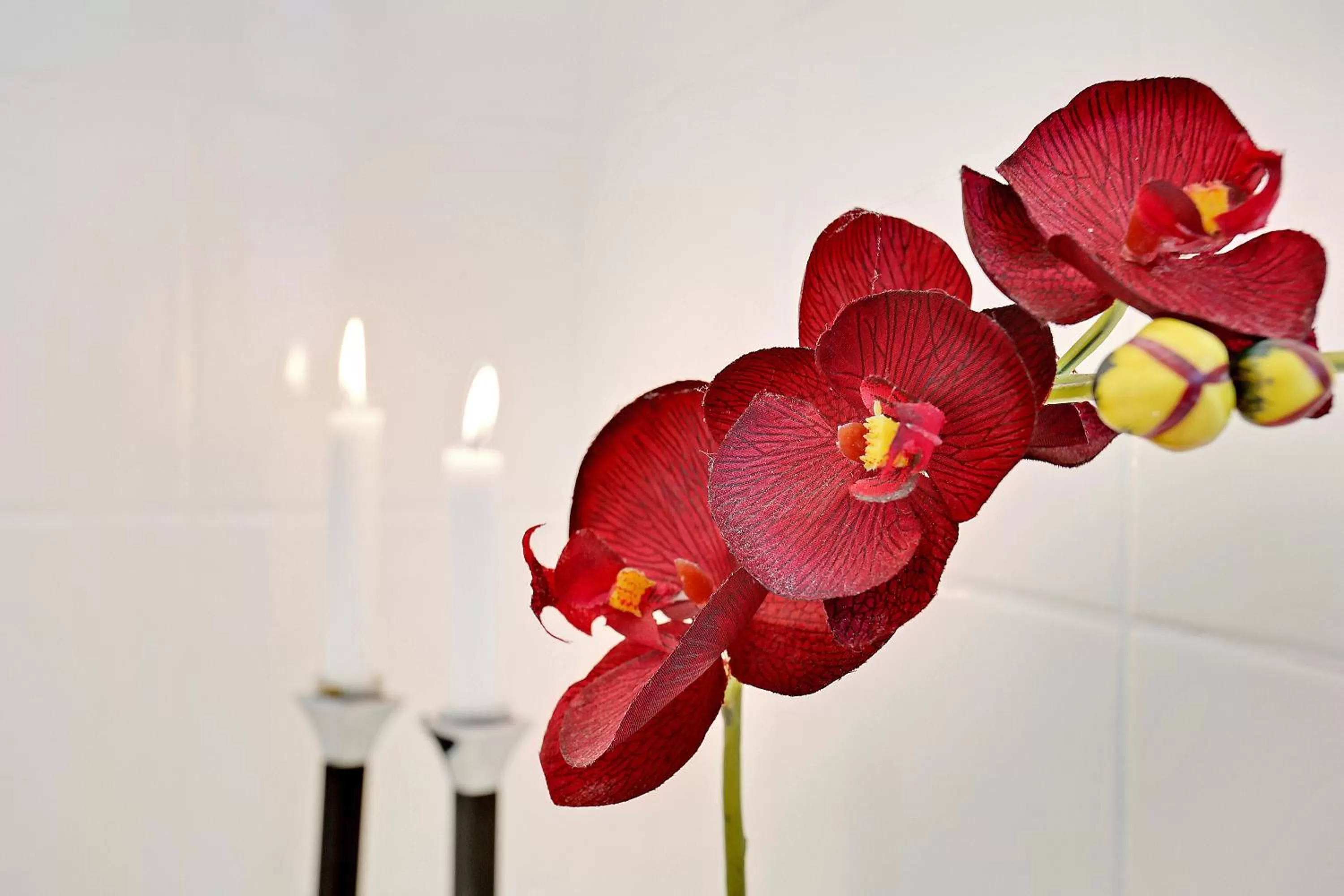 Decorative detail in Åløkke BnB