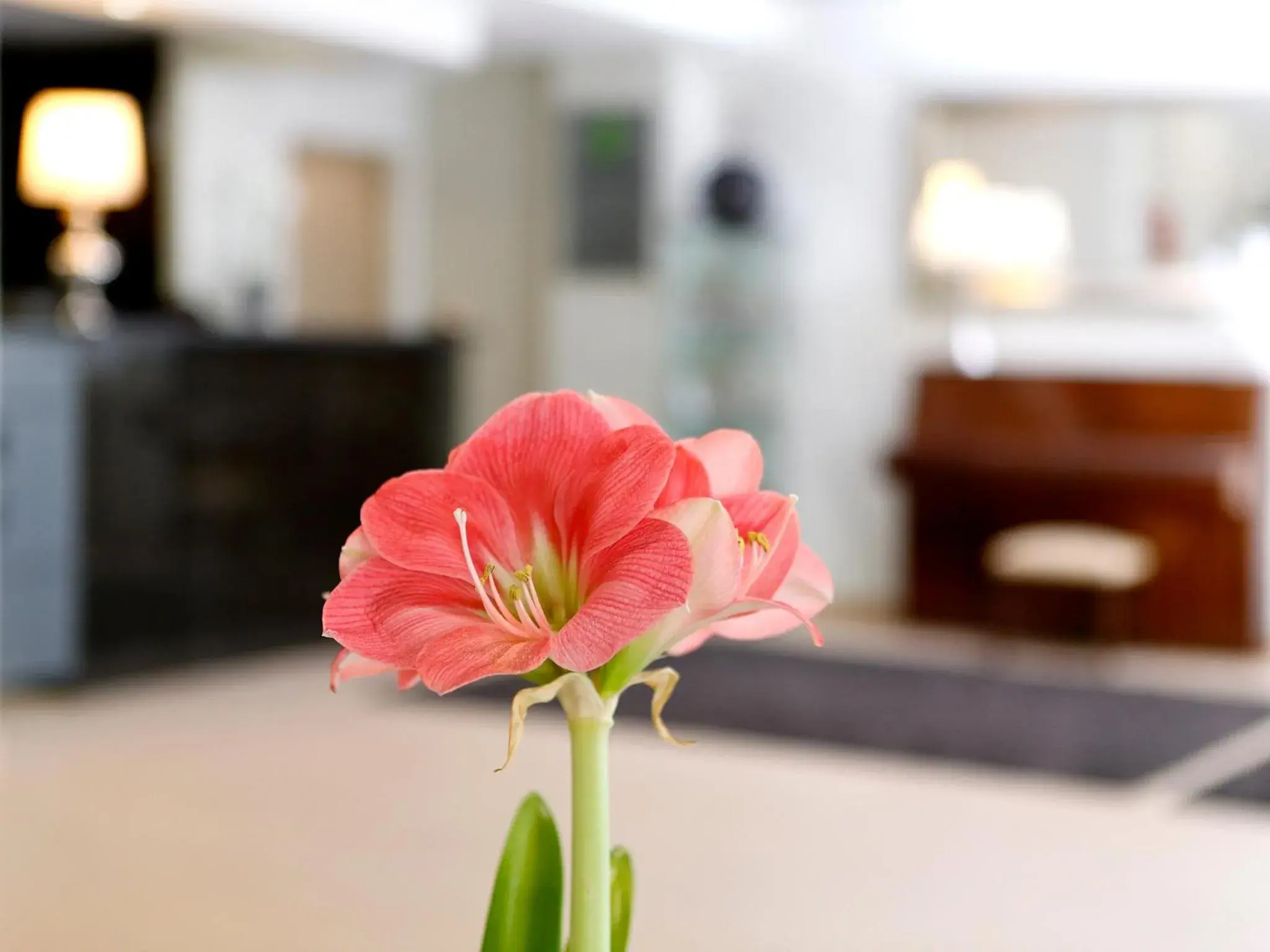 Decorative detail, Lobby/Reception in Cova da Iria Hotel