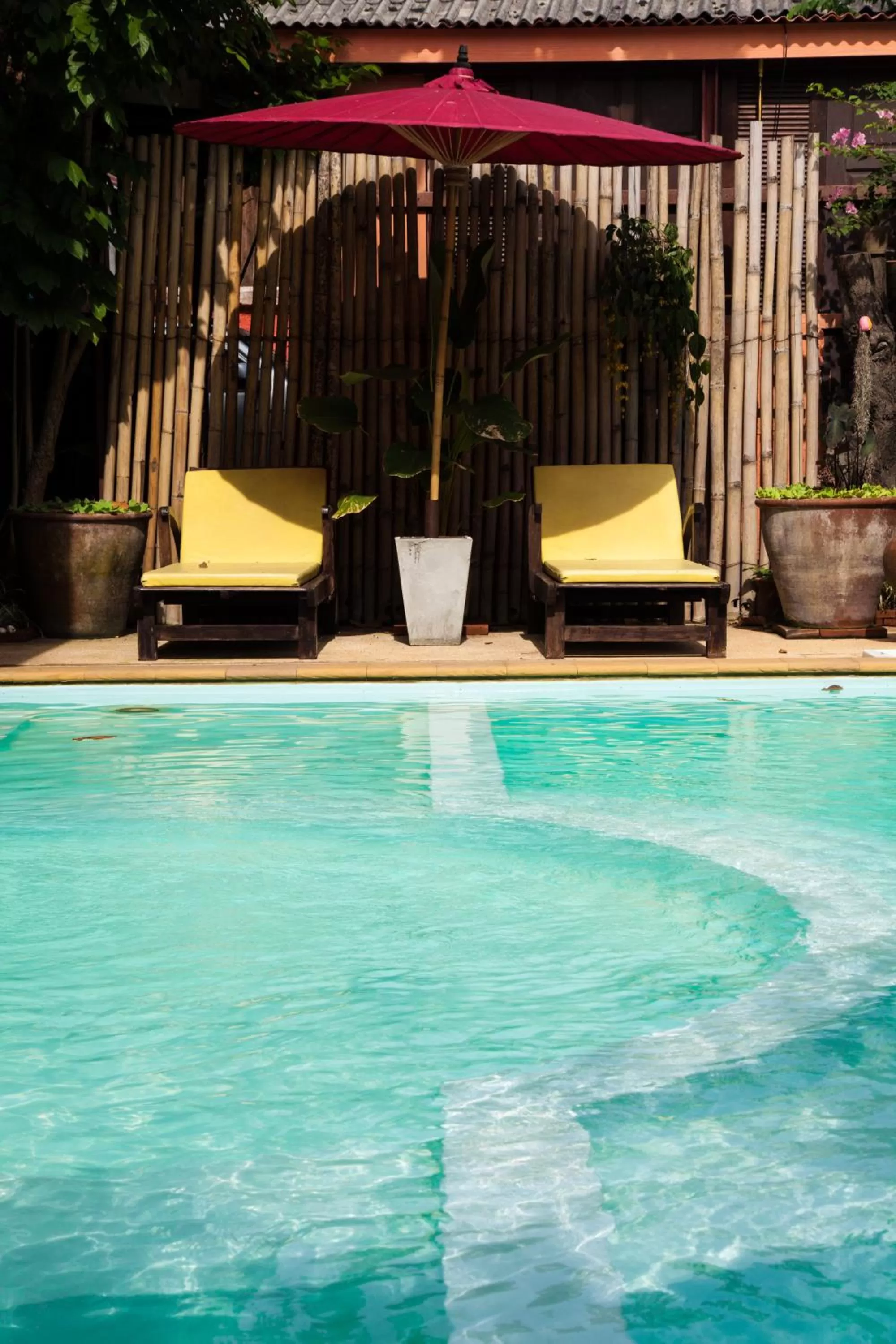 Swimming pool in Joy's House & Tour