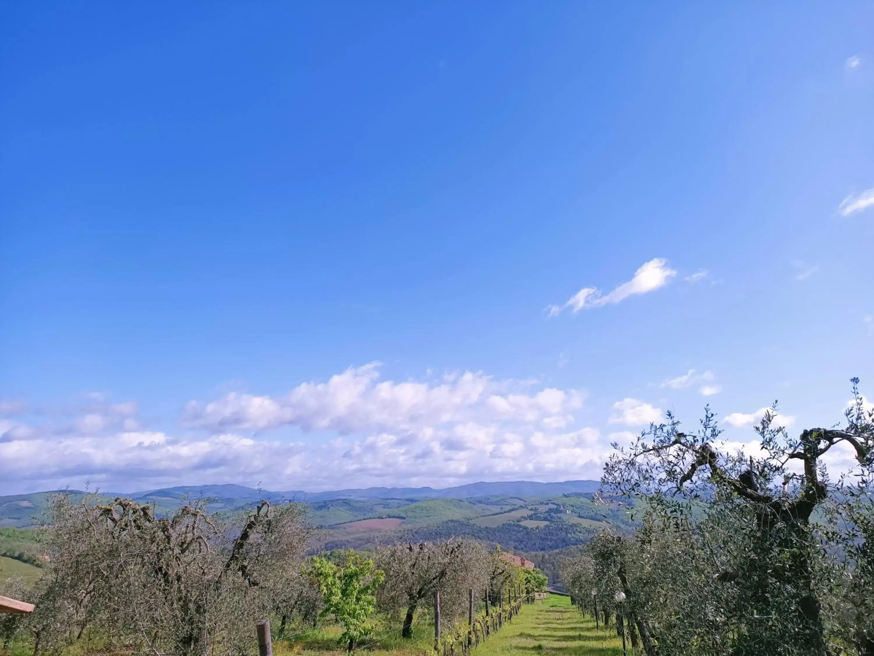 Natural landscape in B&B Un posto nel mondo