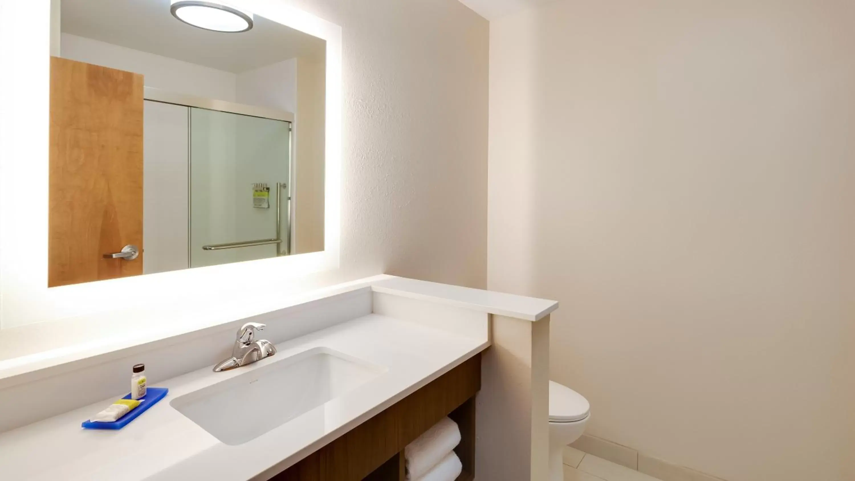 Bathroom in Holiday Inn Express & Suites - Latta, an IHG Hotel