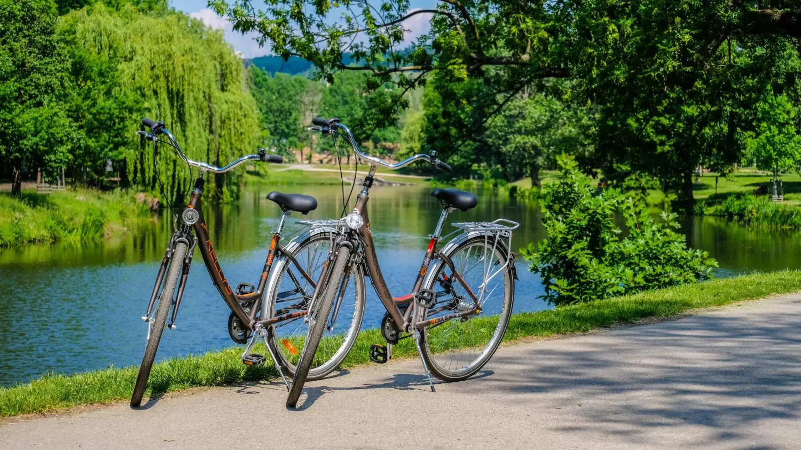 Natural landscape, Other Activities in Hotel Schwaiger