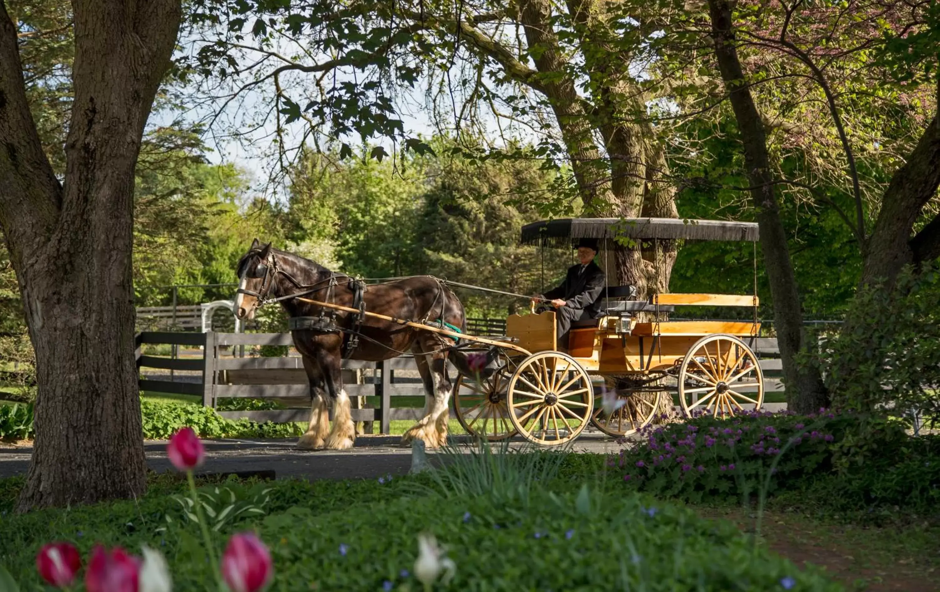 Activities in Pheasant Field Bed and Breakfast