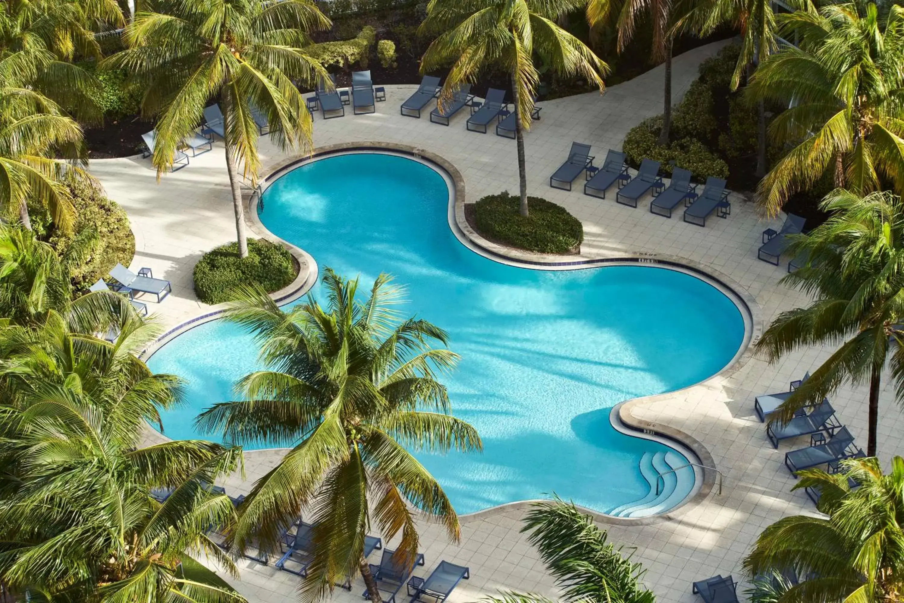 Pool View in Hilton Fort Lauderdale Marina