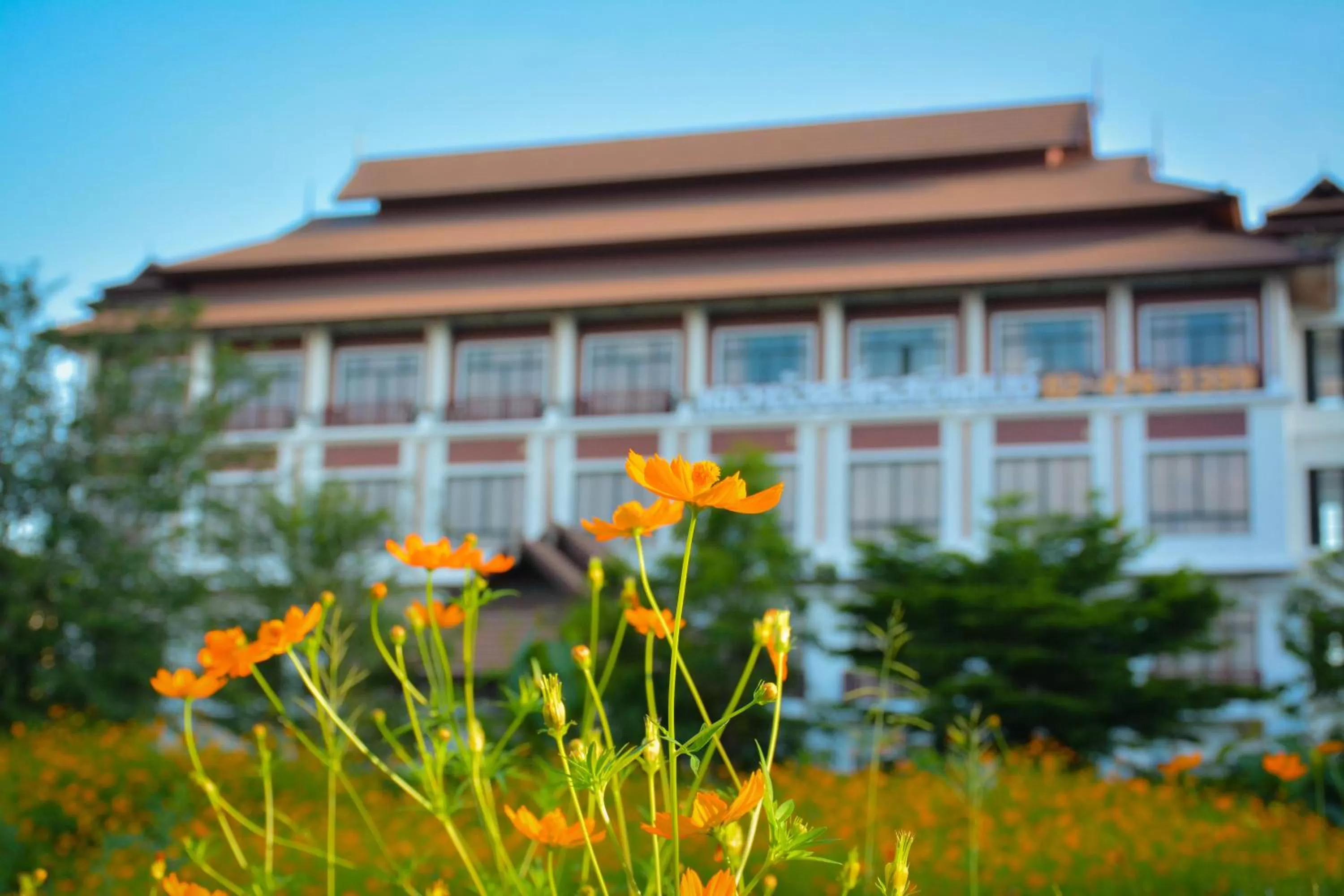 Natural landscape in The Choice Hotel - Adults Only