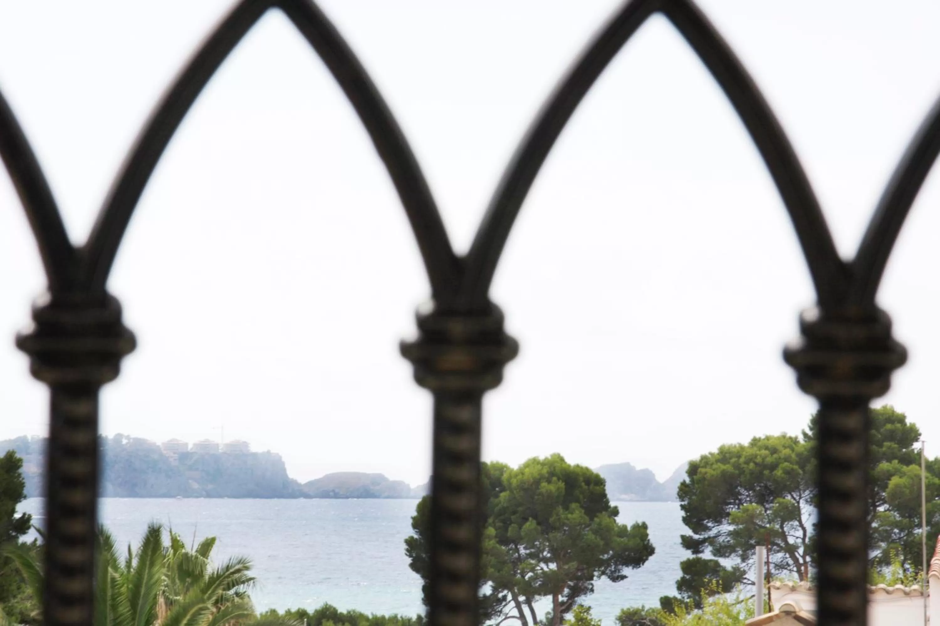 View (from property/room) in Morlans Garden