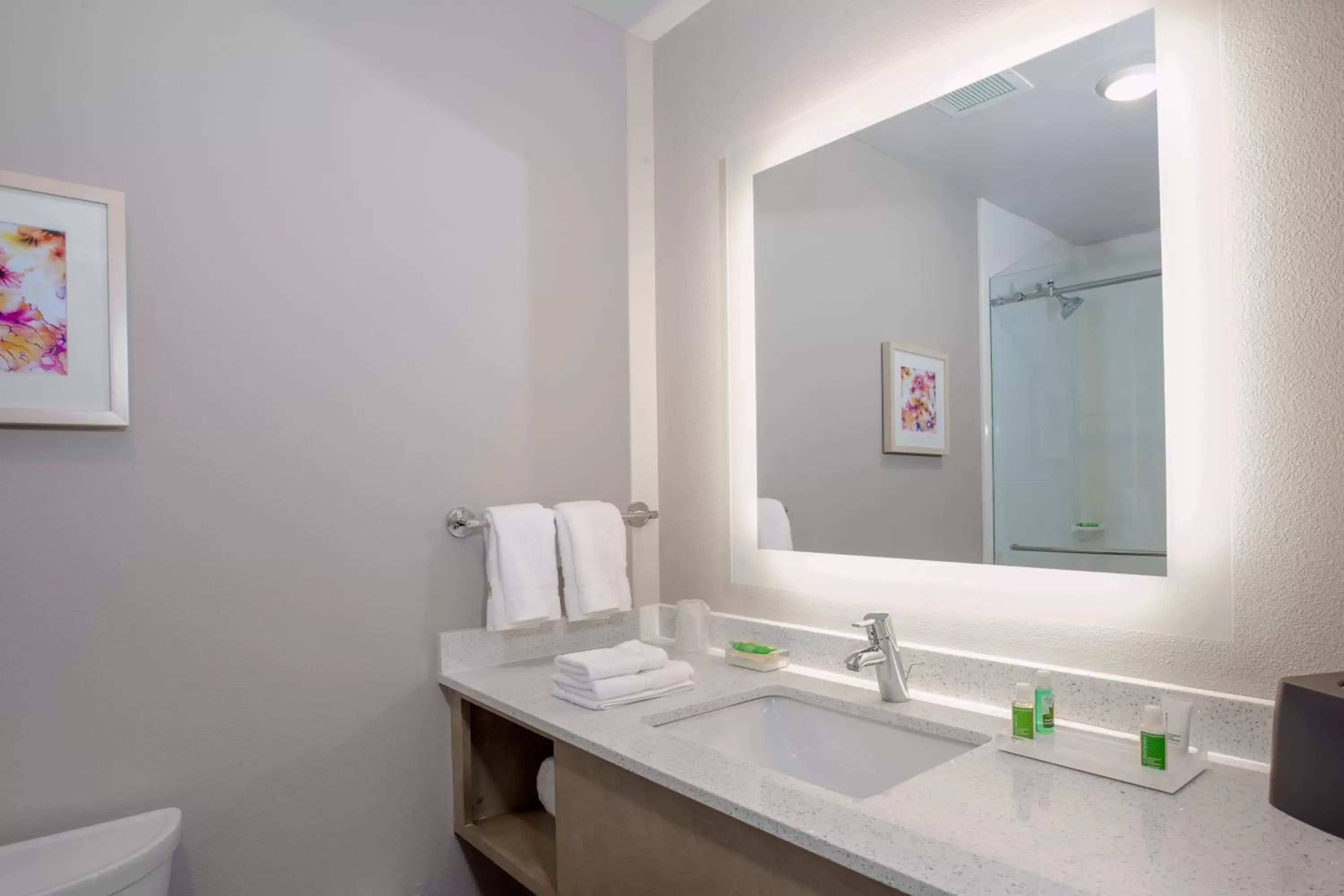 Bathroom in Holiday Inn - Tallahassee E Capitol - Univ, an IHG Hotel