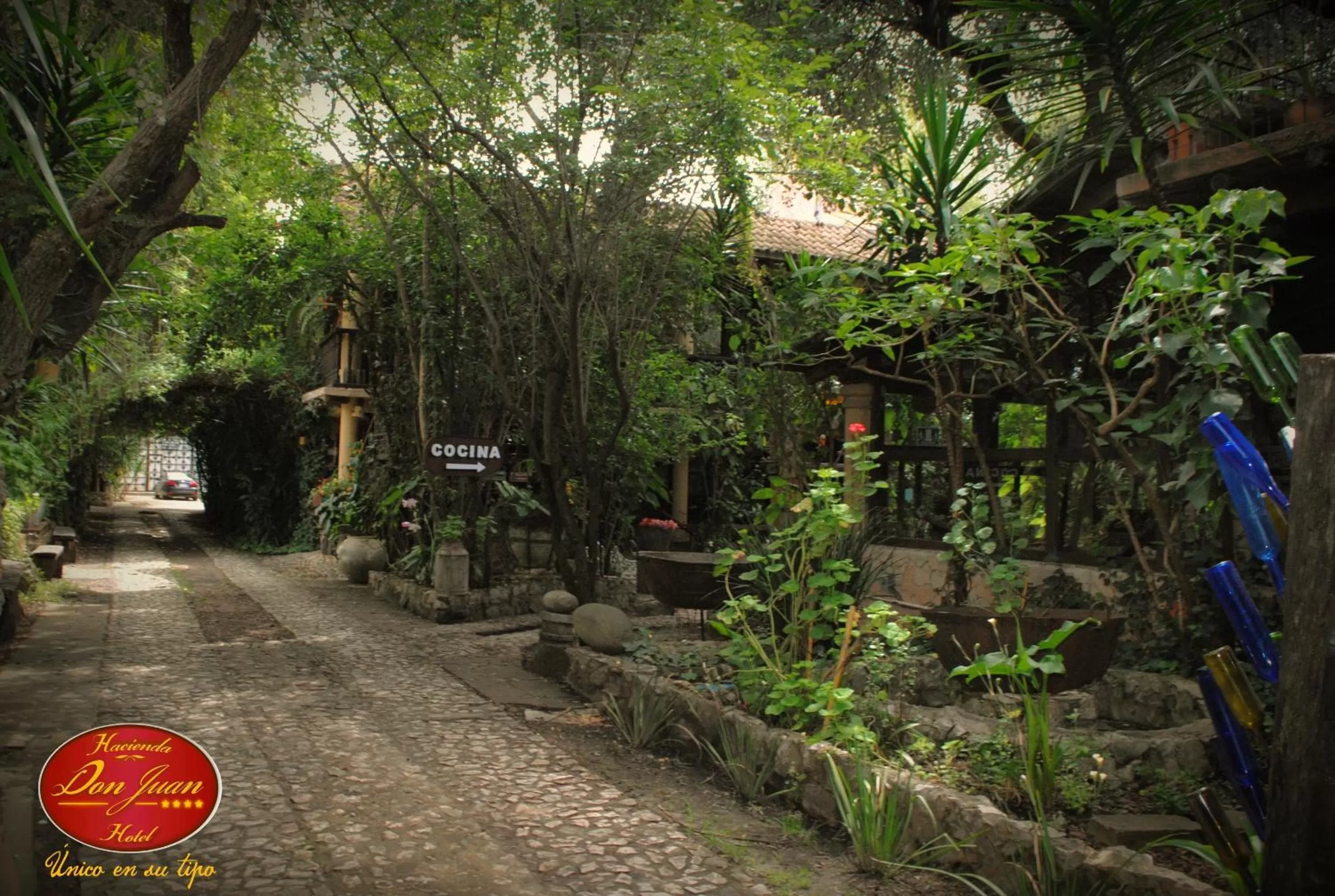 On site in Hotel Hacienda Don Juan