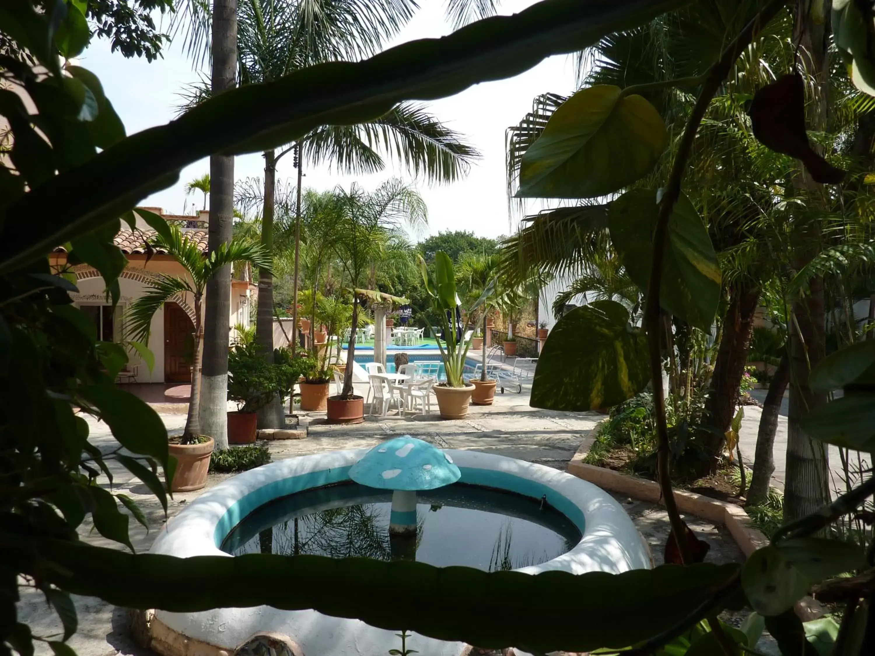 Day, Swimming Pool in Hotel Bajo el Volcan