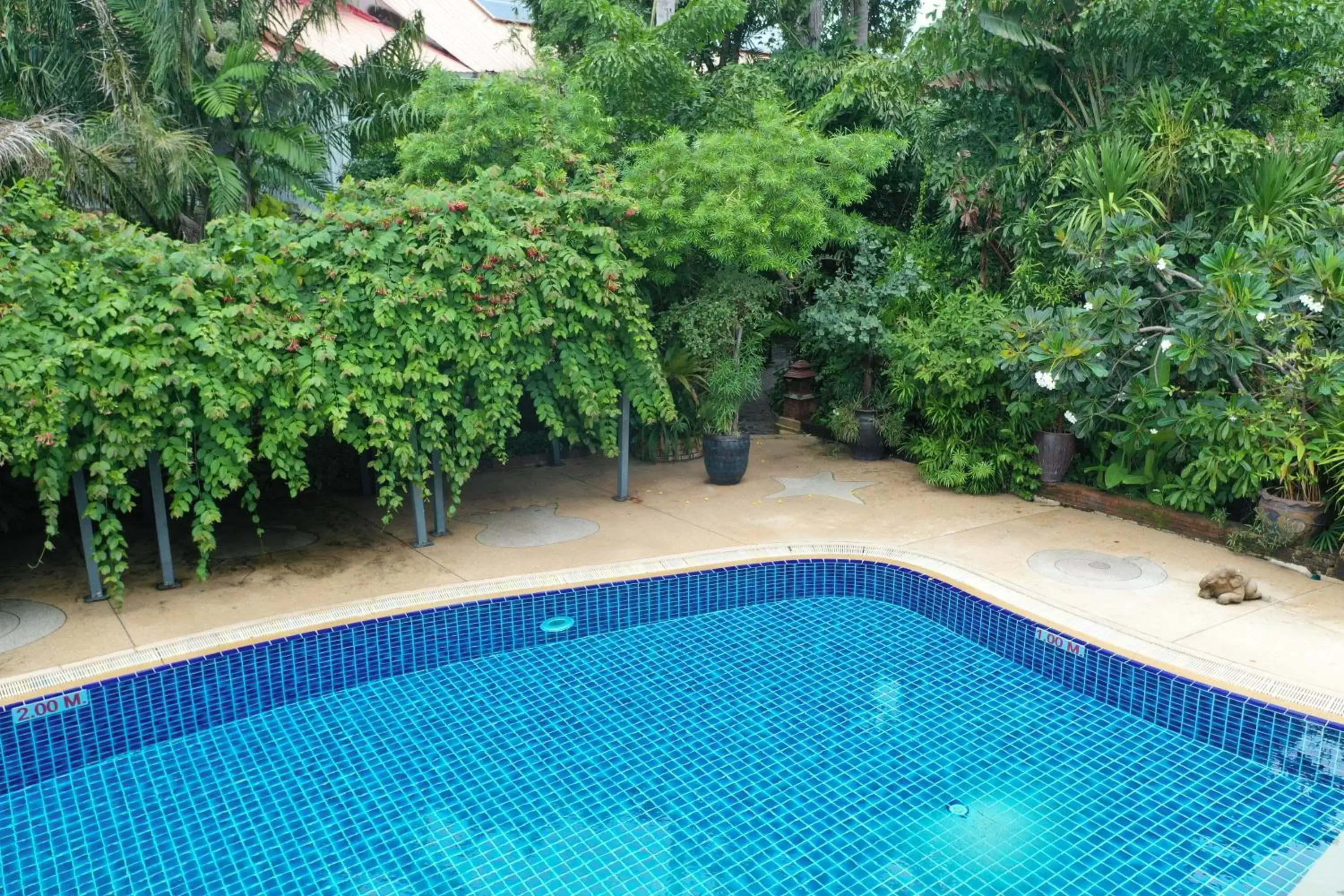 Swimming Pool in Tropica Bungalow Beach Hotel - SHA Extra Plus