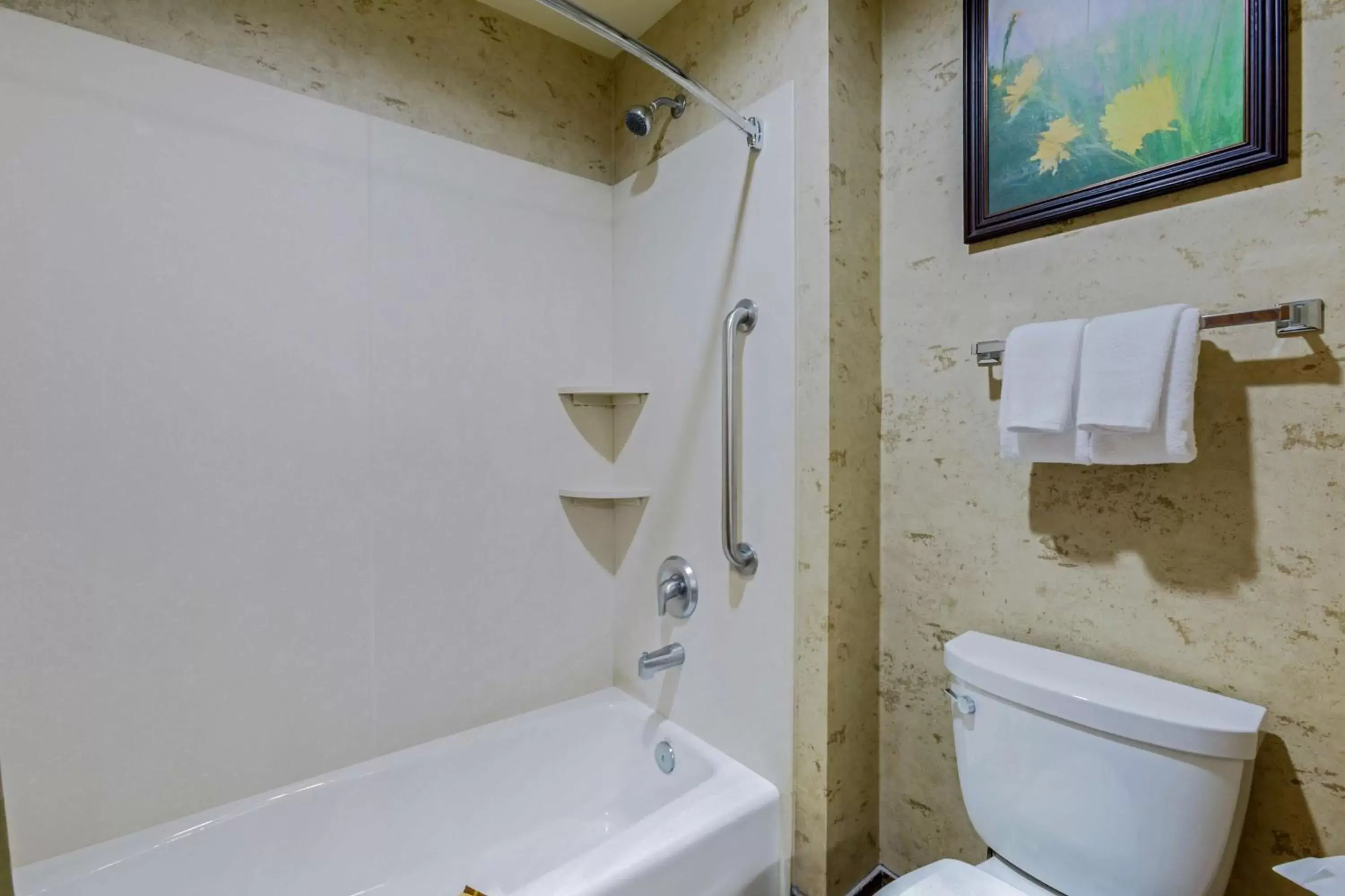 Bathroom in Best Western PLUS Bryce Canyon Grand Hotel