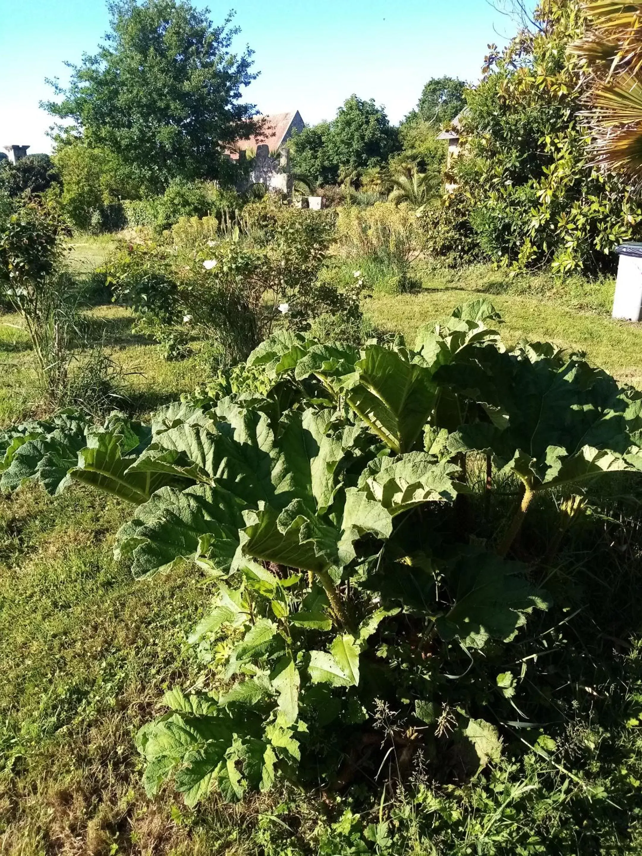 Other, Garden in Domaine de launay blot, Proche MT ST MICHEL