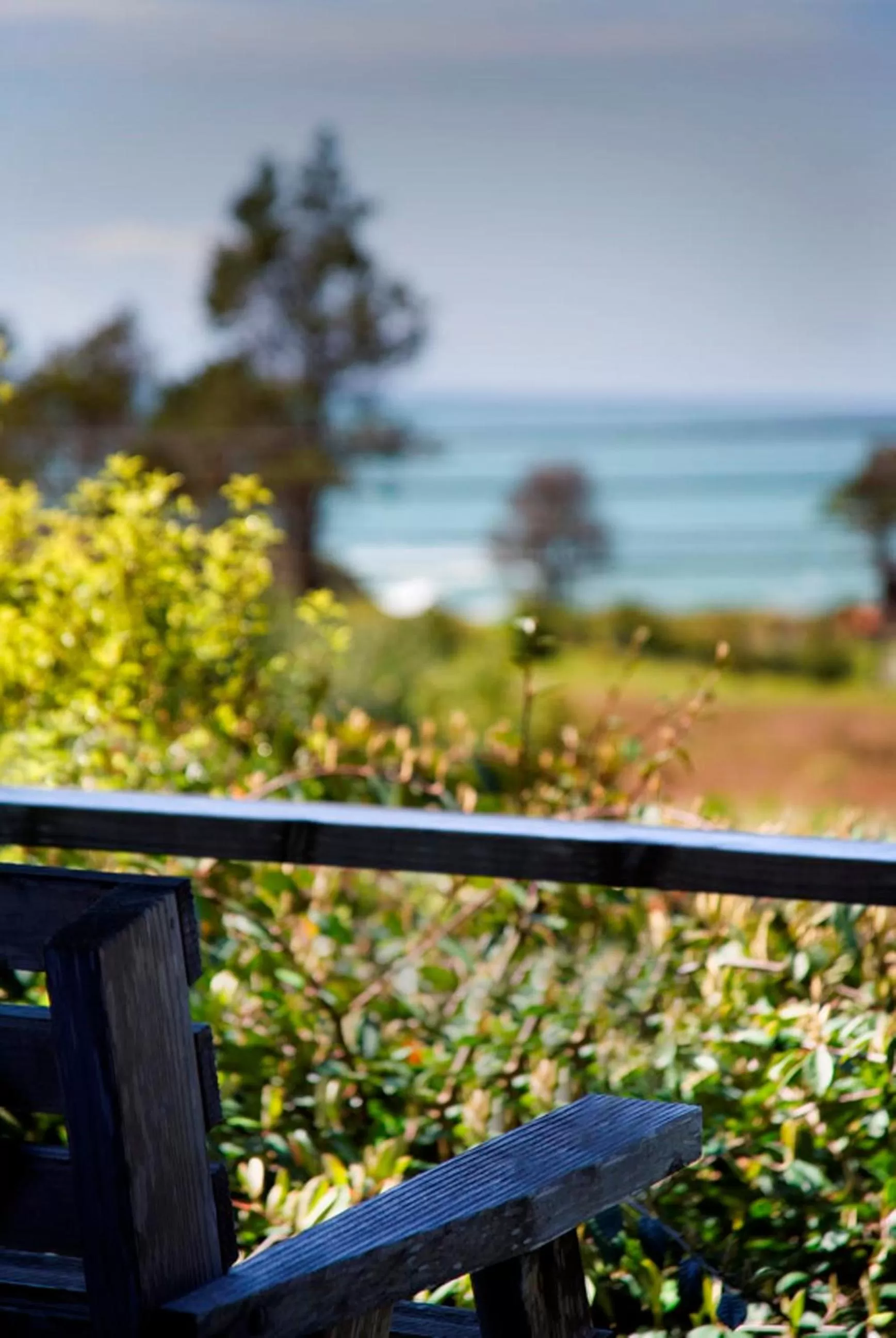 View (from property/room) in Inn at Schoolhouse Creek