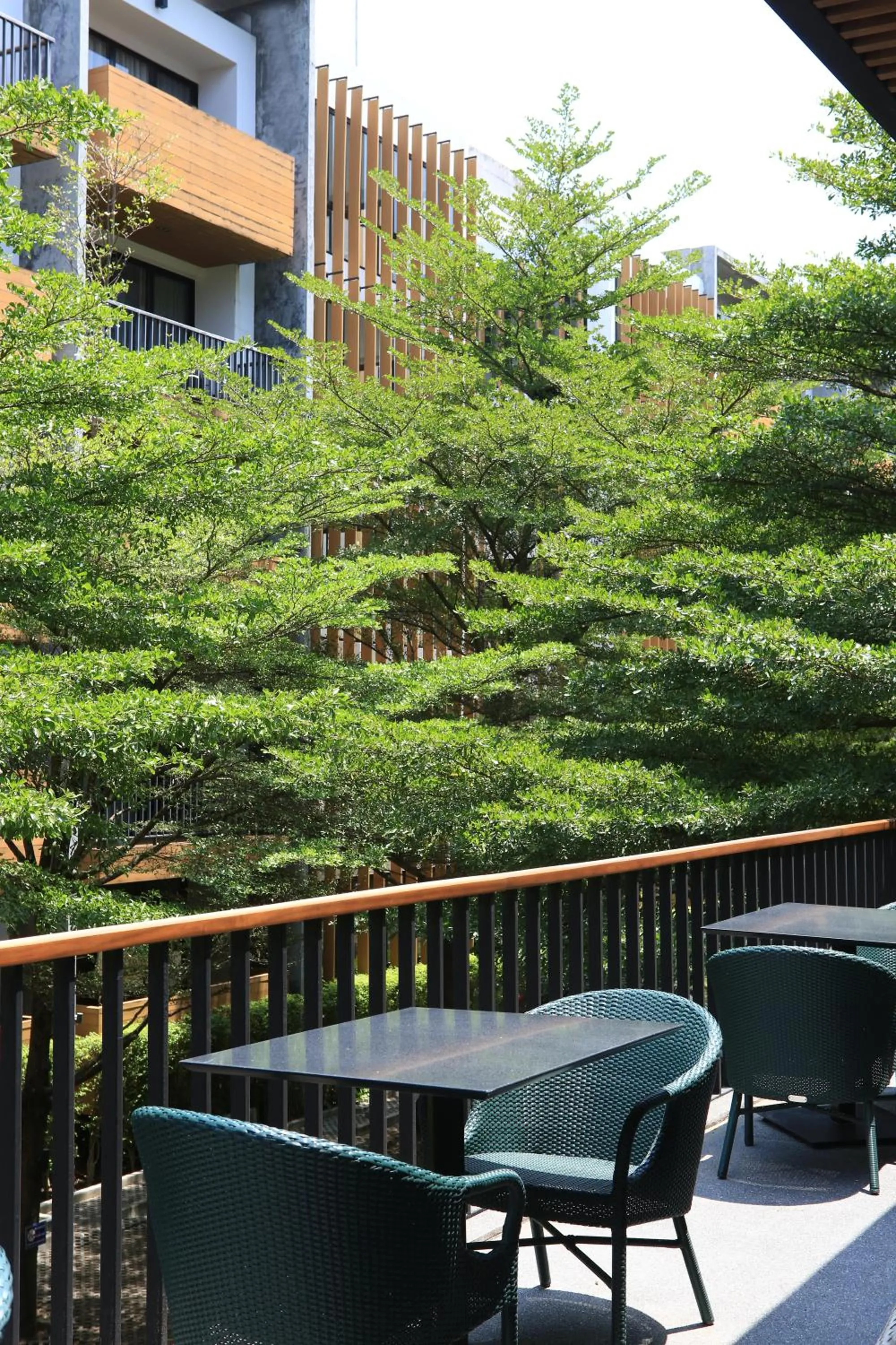 View (from property/room) in The Silver Palm Wellness Resort