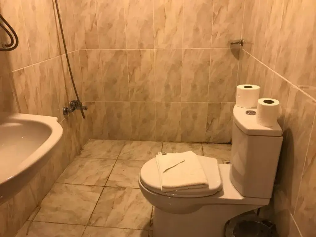 Toilet, Bathroom in historial hotel