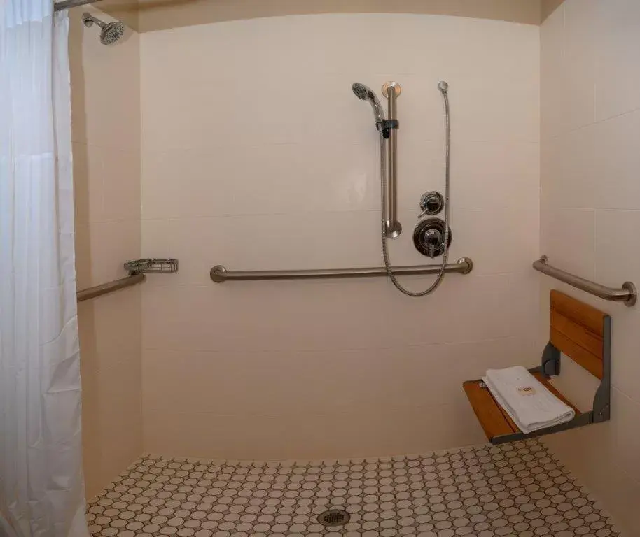 Bathroom in Comfort Inn & Suites Patriots Point