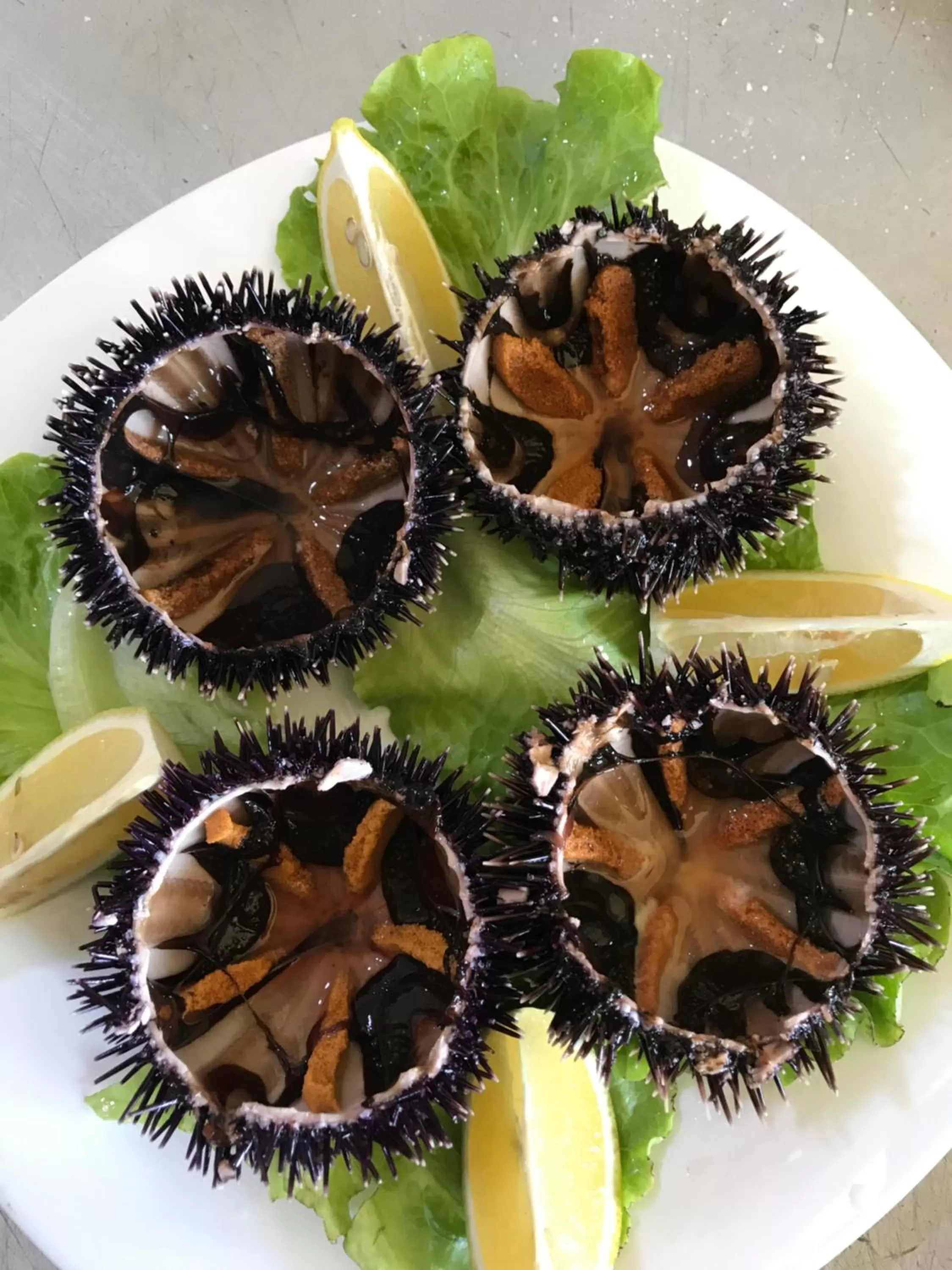 Food and drinks in Hotel Alba-Gert