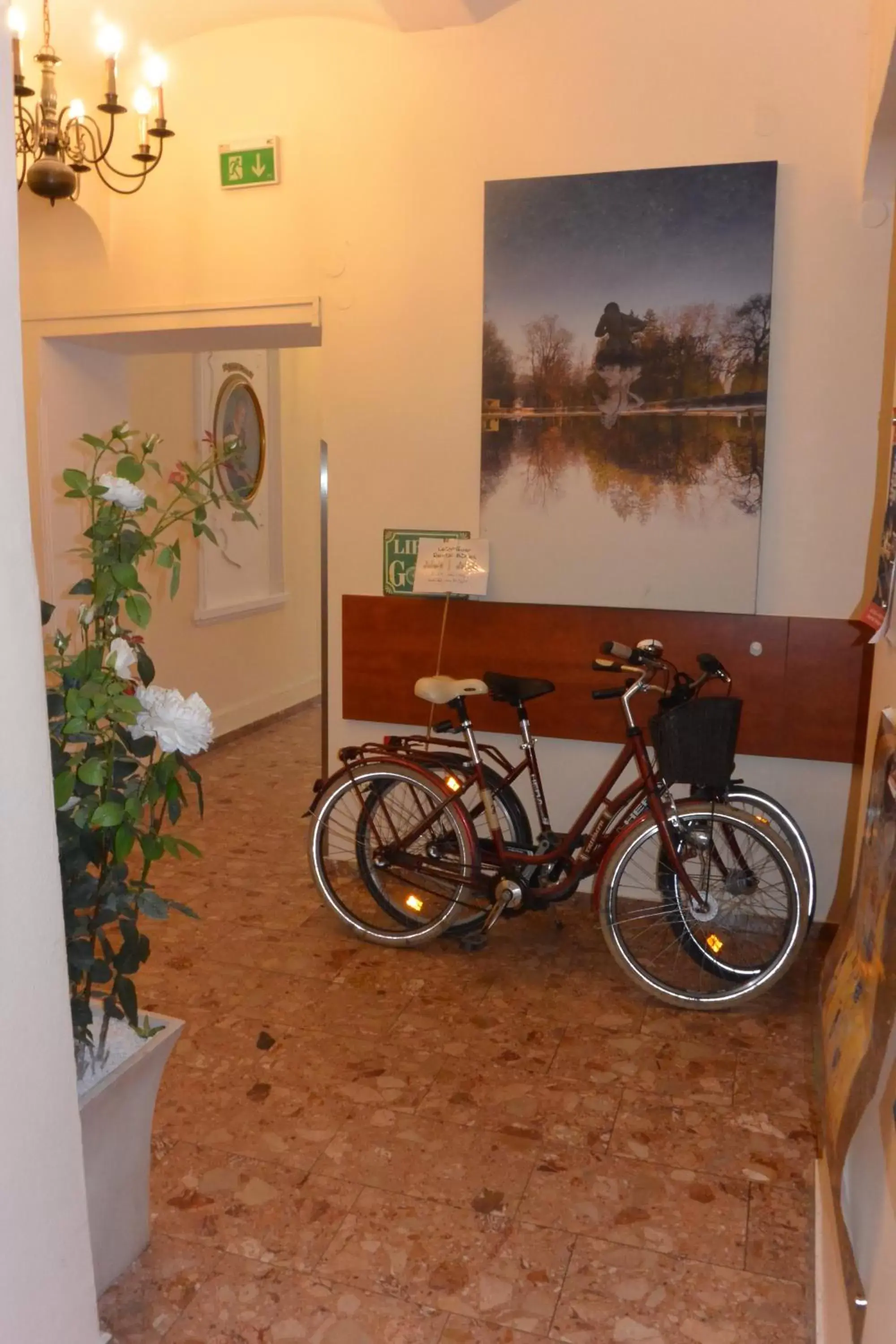 Cycling, Other Activities in Adlerhof