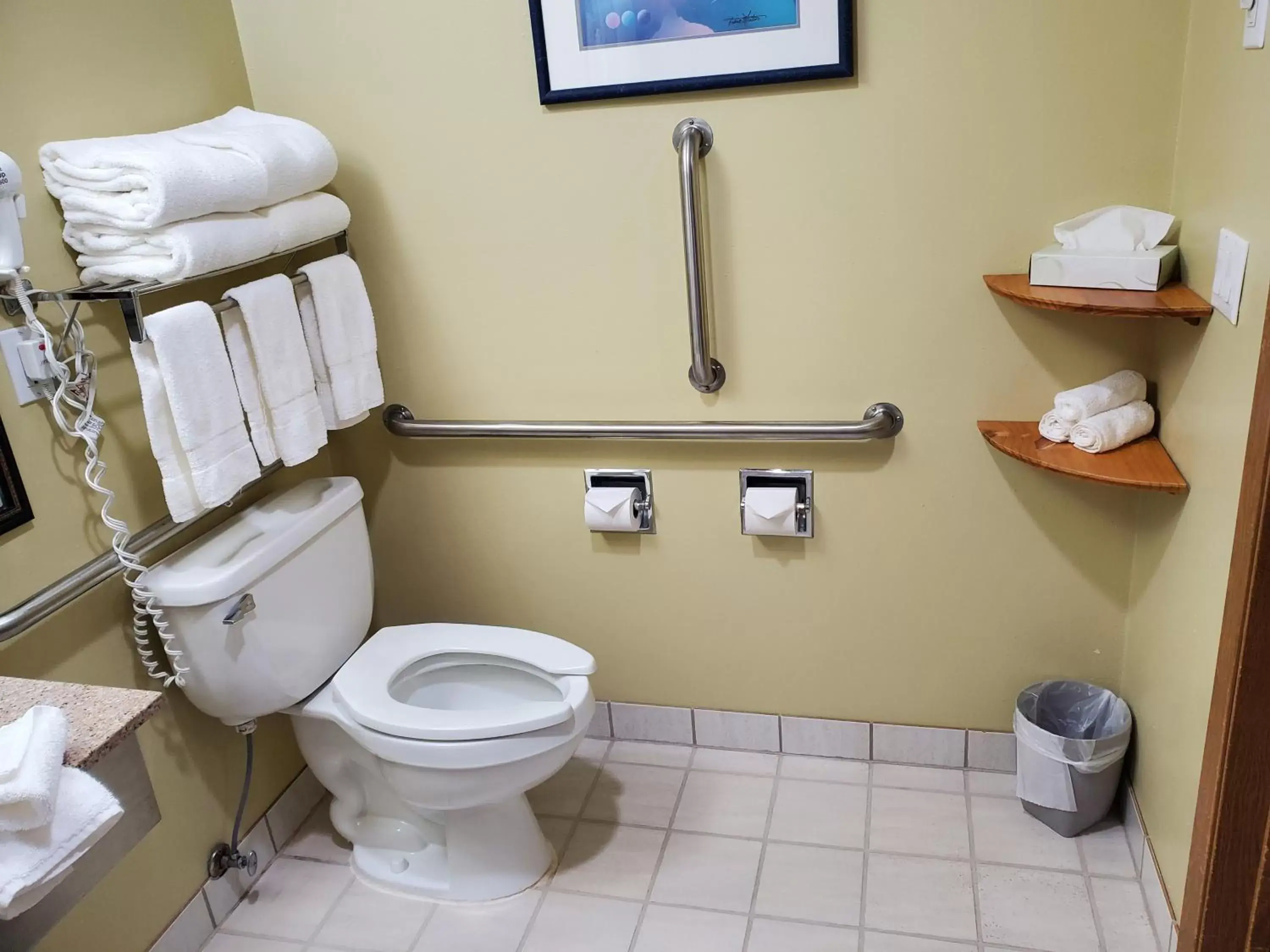 Toilet, Bathroom in The Hotel Bemidji