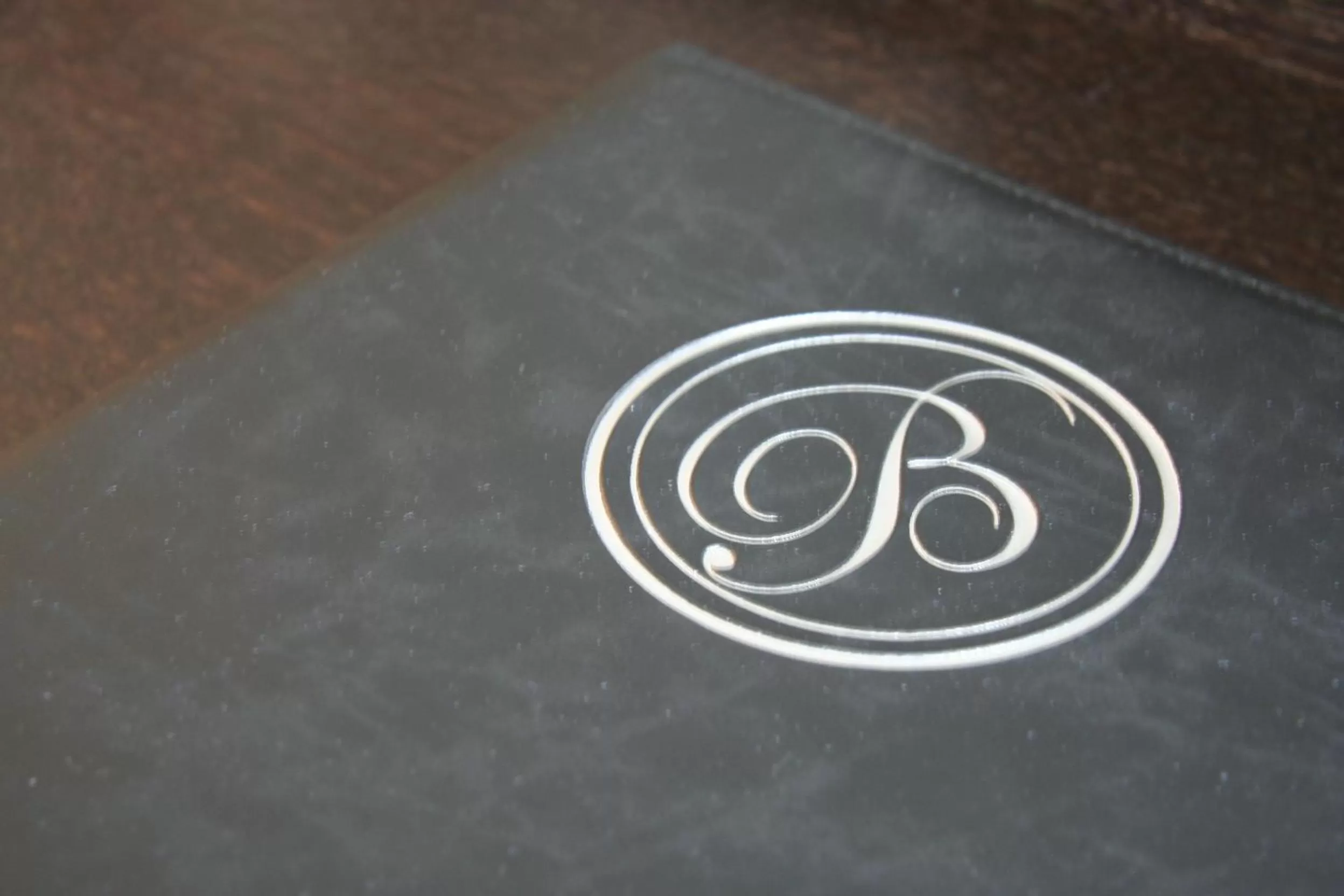 Business facilities in Biznis Hotel