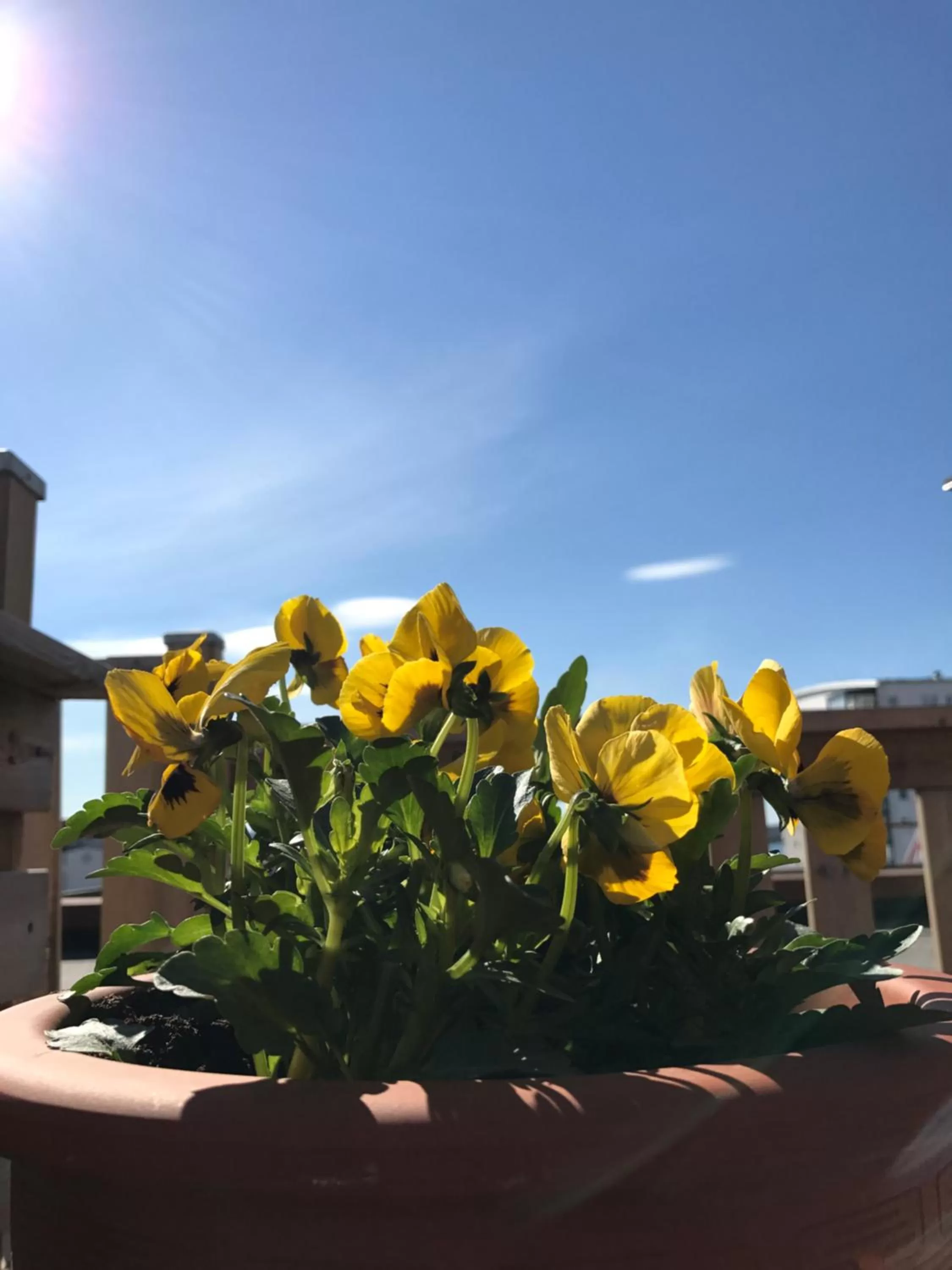 Spring in Strand City Hotel