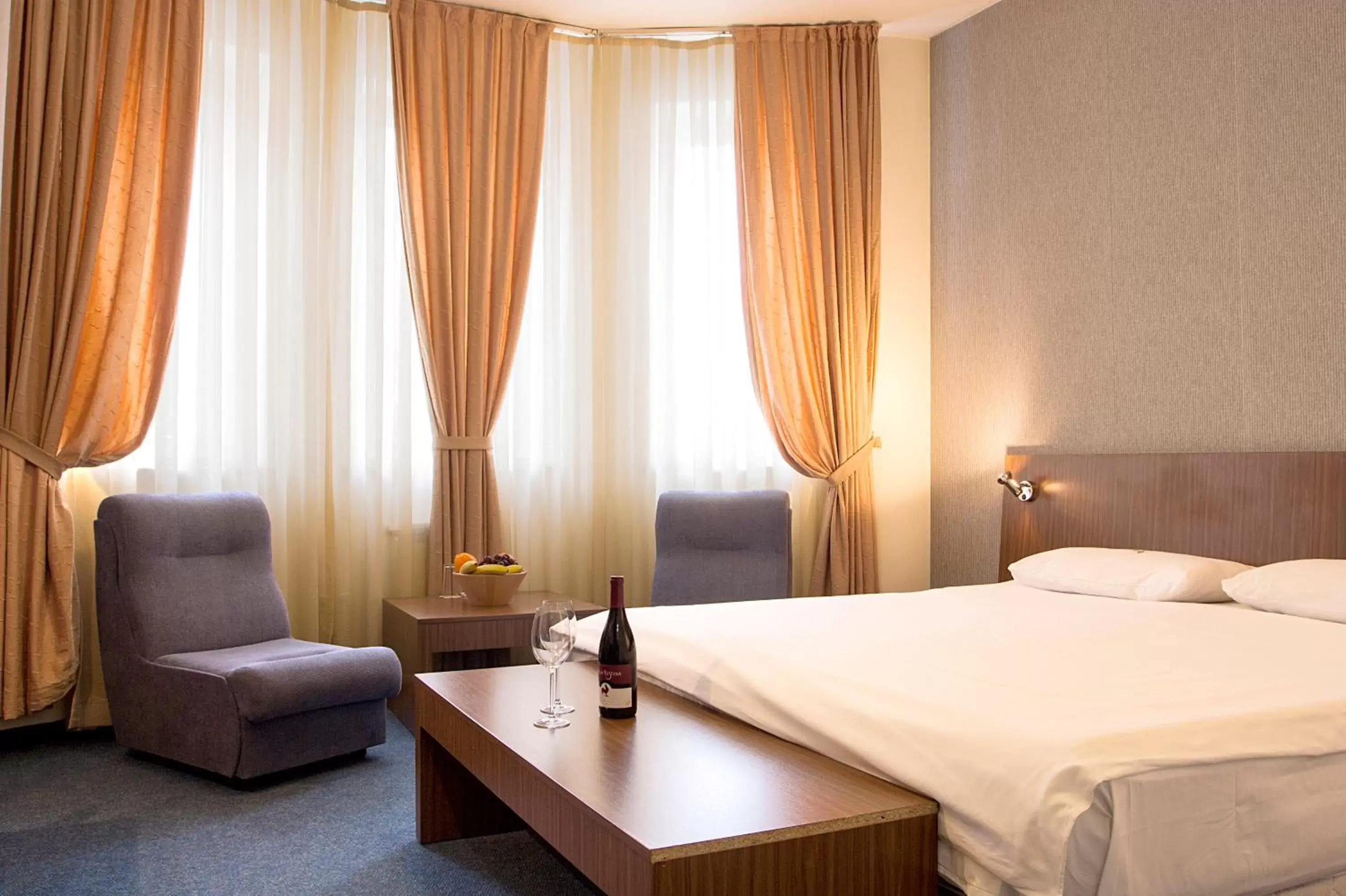 Double Room in DITER Family Hotel Double Room in DITER Family Hotel