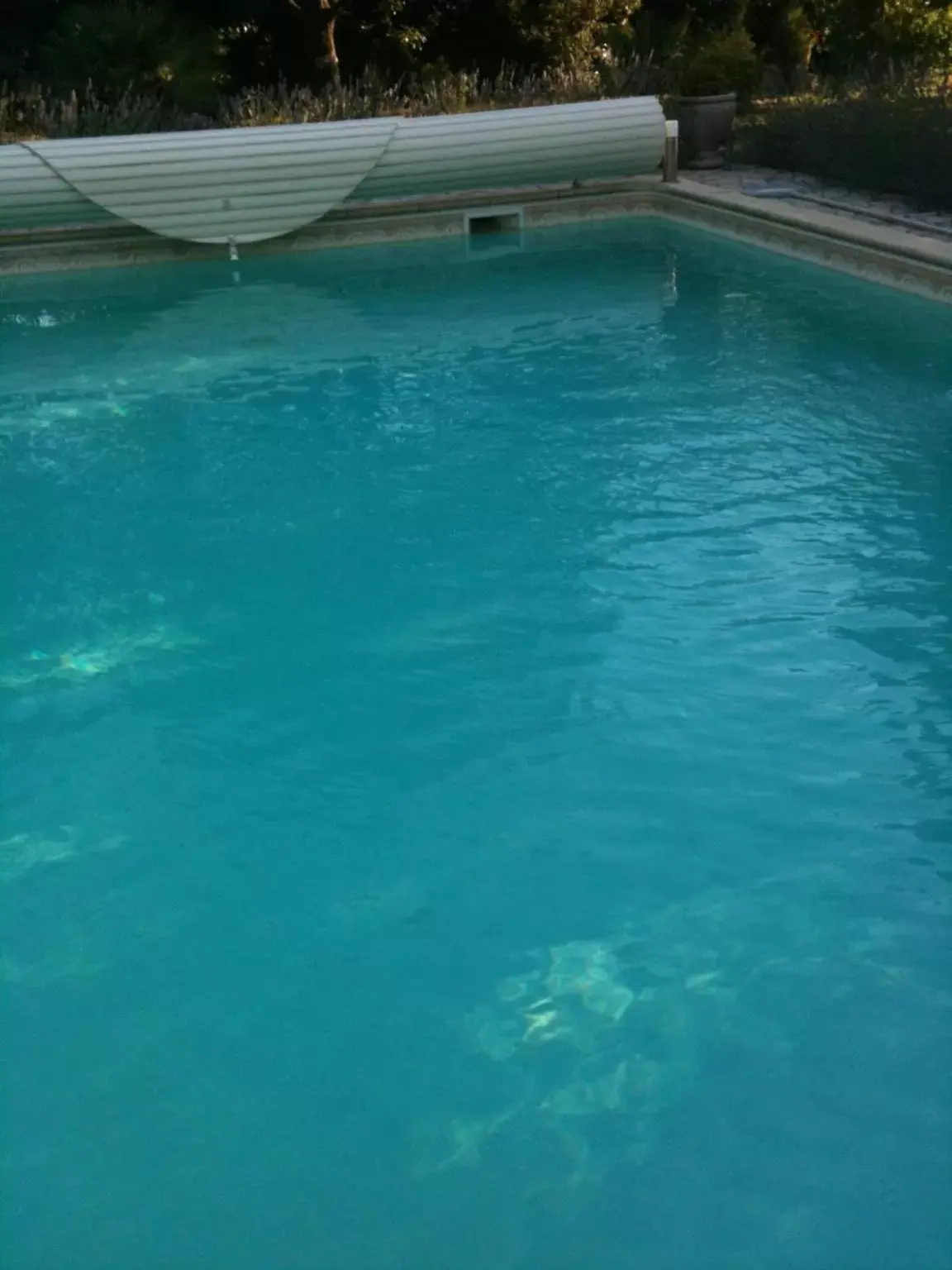 Swimming Pool in Chambre d'Hôte Couguiolet - avec piscine