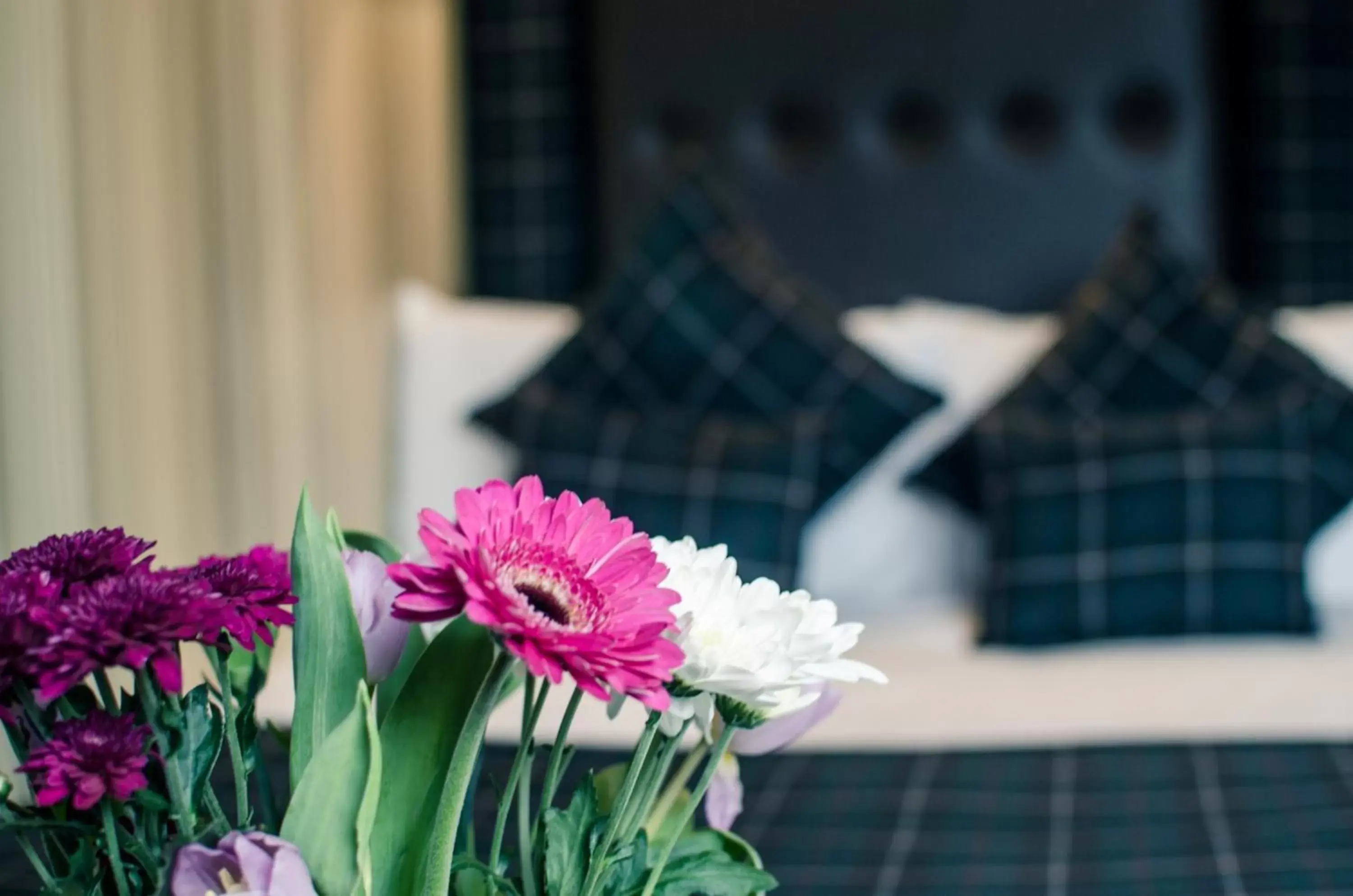 View (from property/room), Bed in Argyll Hotel View (from property/room), Bed in Argyll Hotel