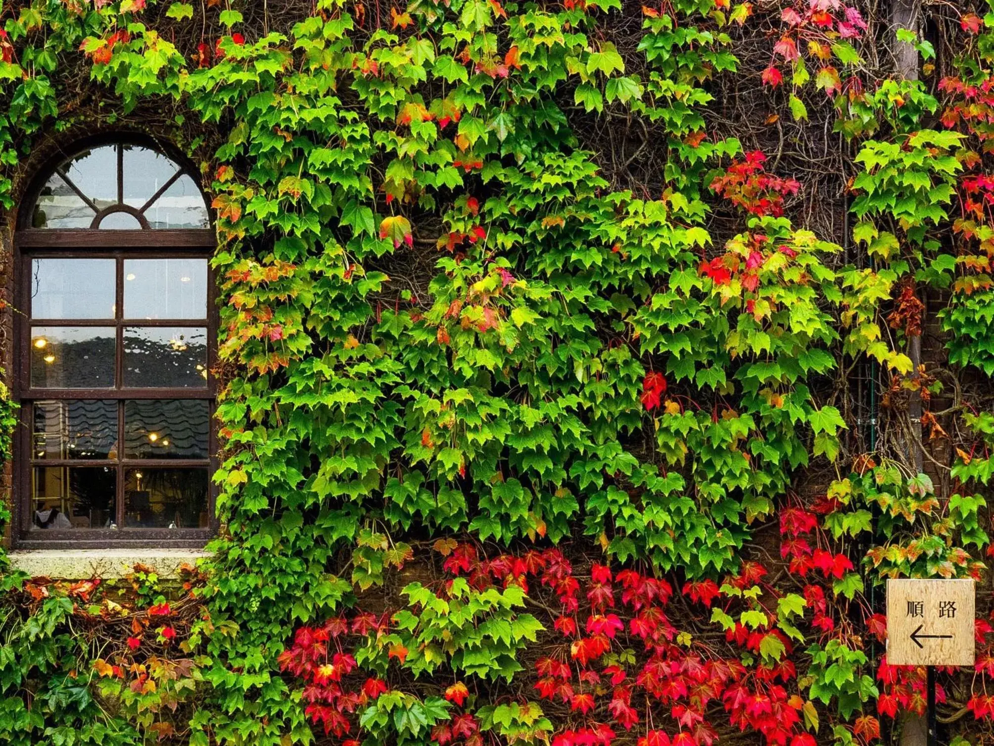 Property building in Kurashiki Ivy Square