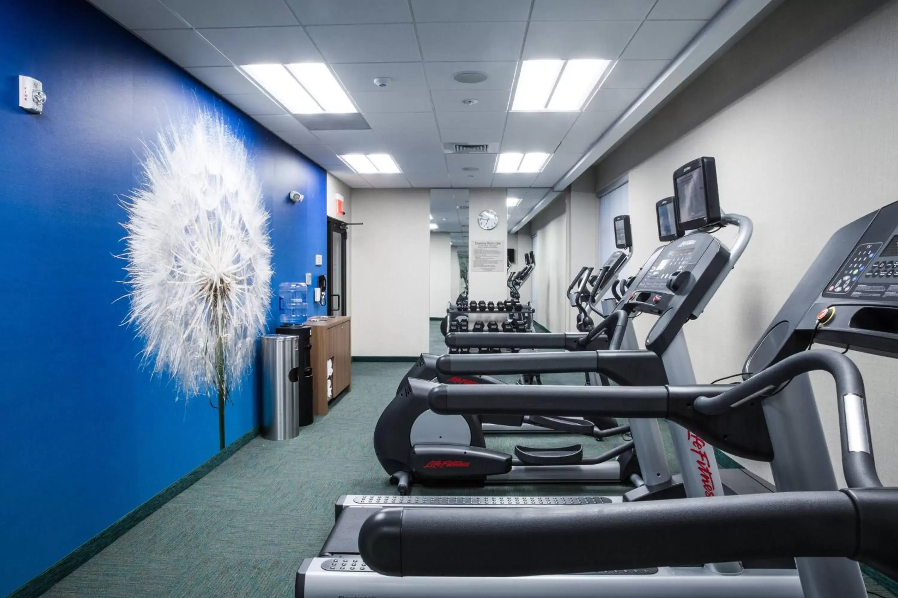 Fitness centre/facilities, Fitness Center/Facilities in SpringHill Suites by Marriott Charleston Mount Pleasant