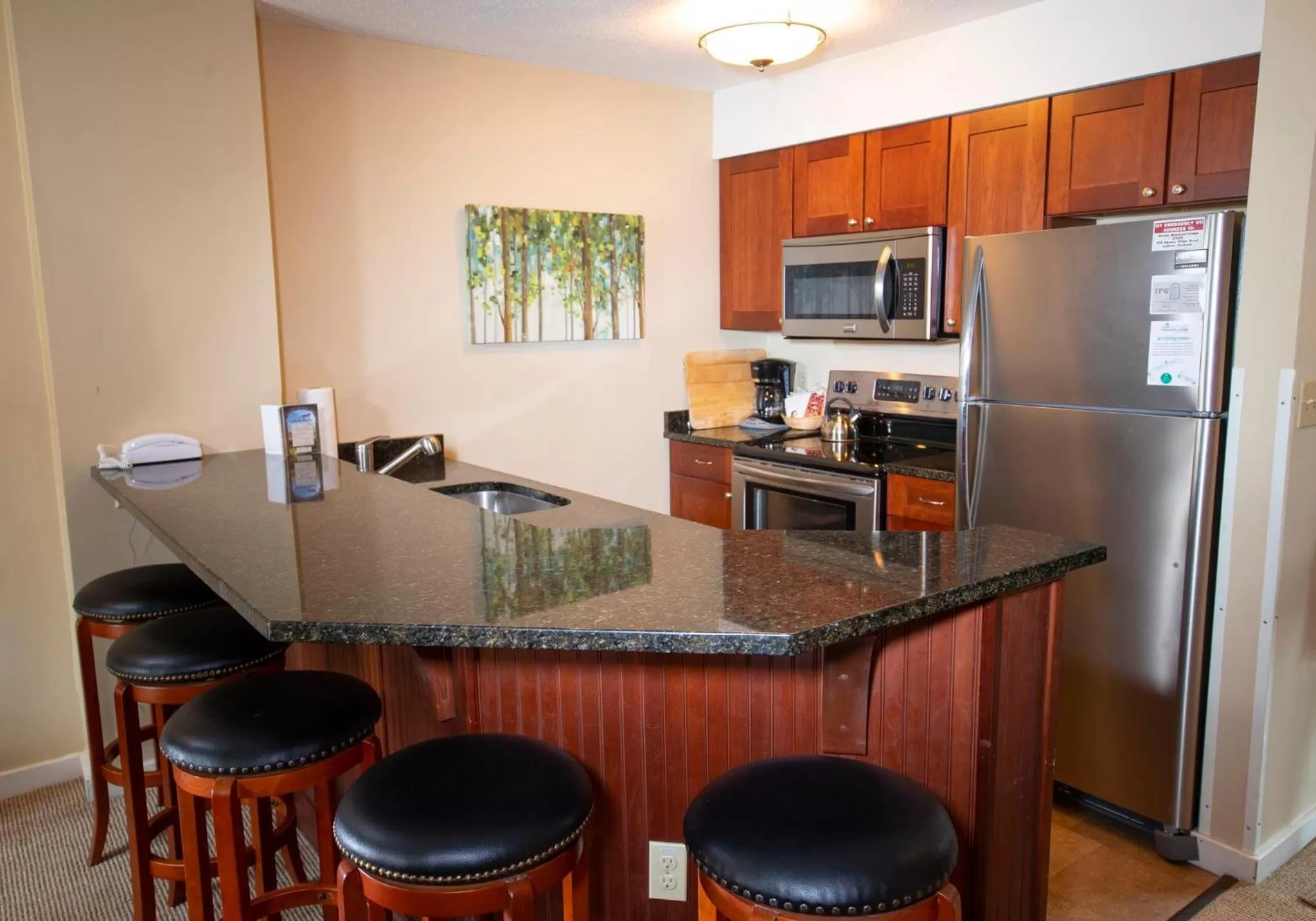 Kitchen or kitchenette in Mountain Lodge at Okemo