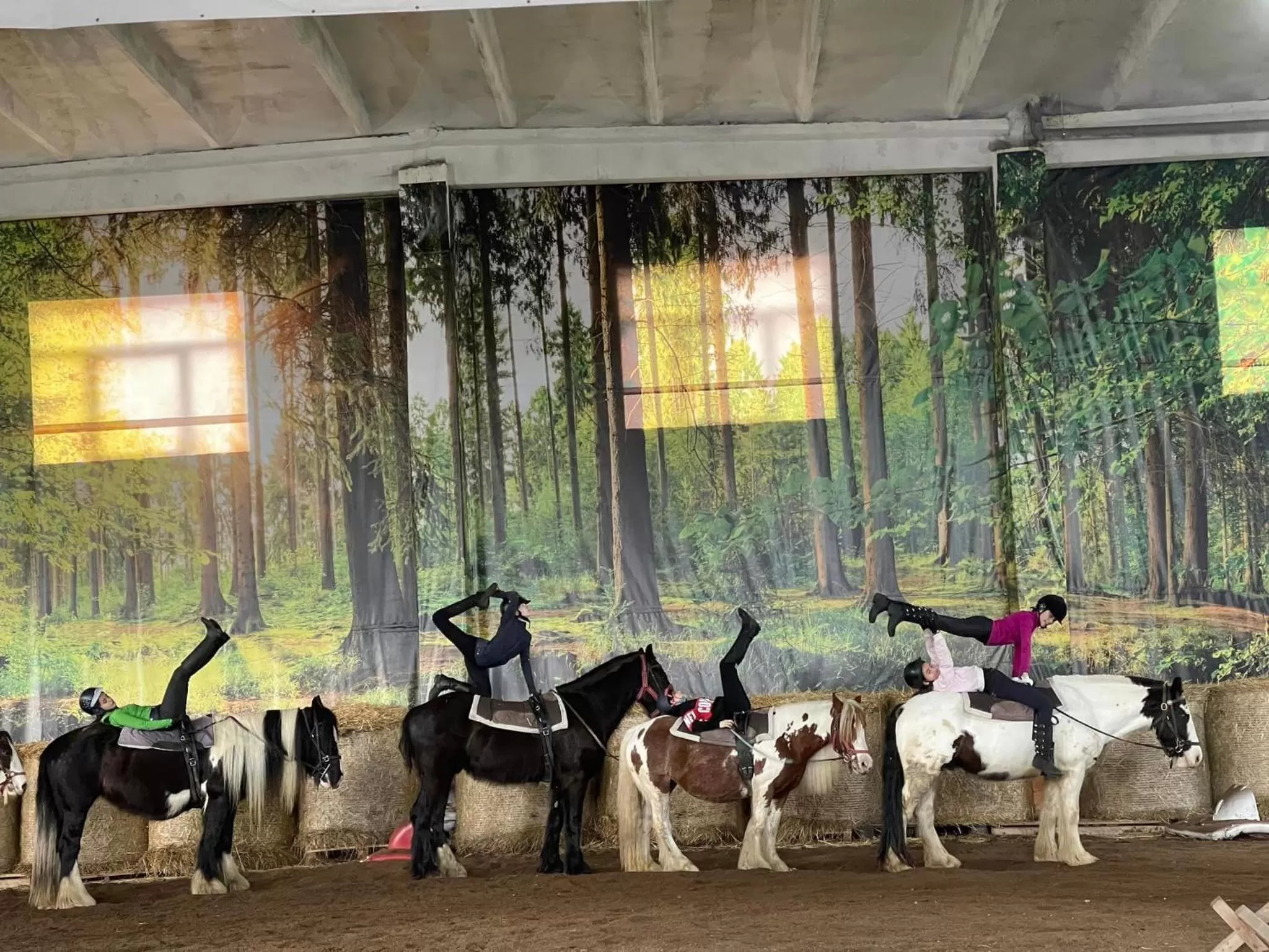 Horse-riding in Conacul Radacinilor